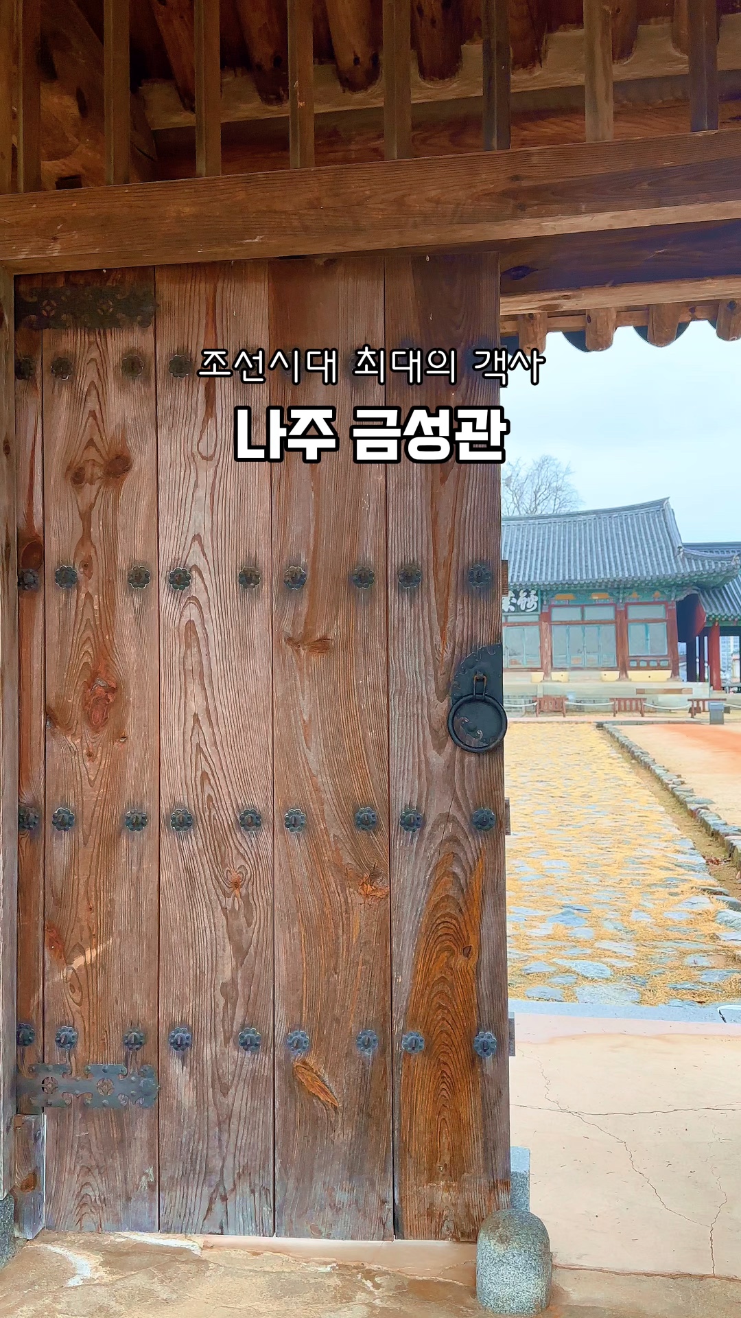 금성관광주 이미지