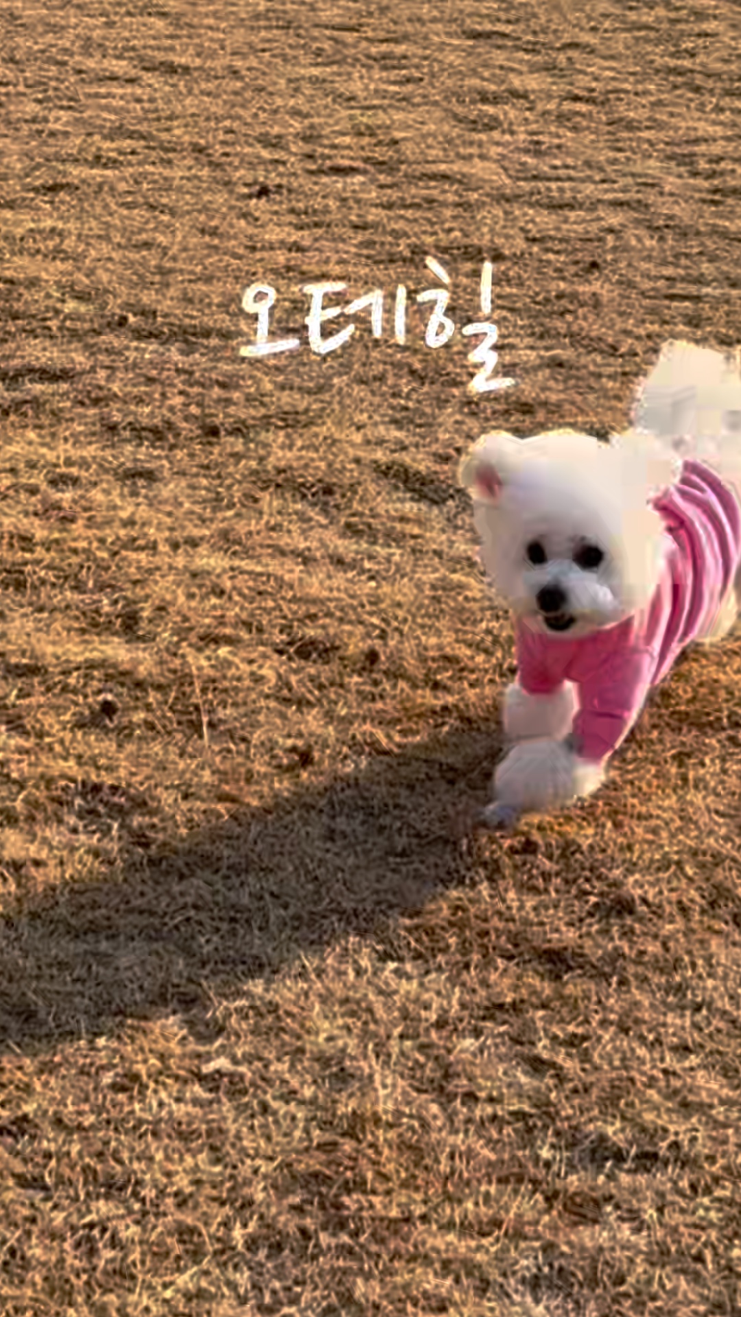 사진 5