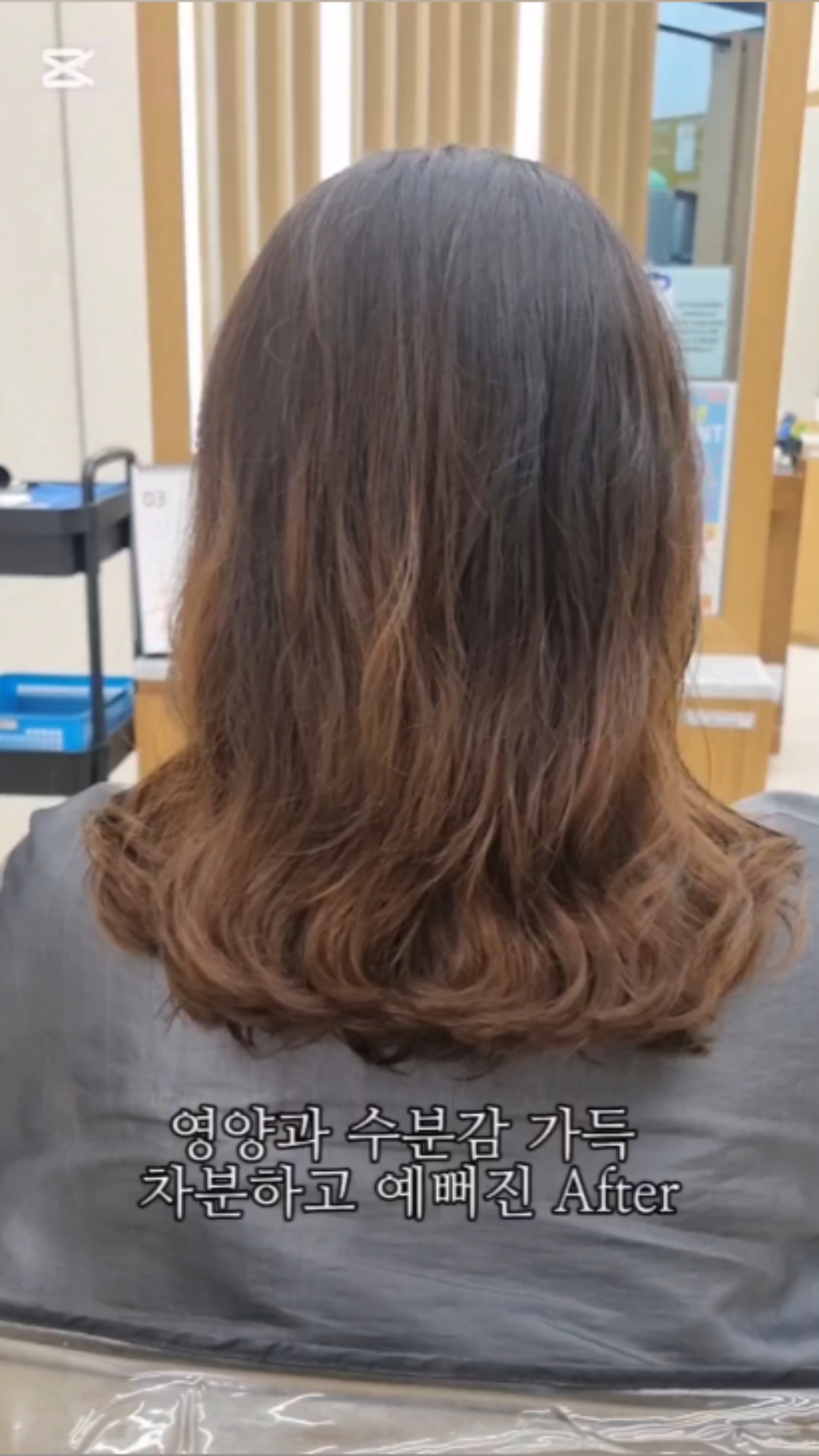 세븐헤어월드 이미지