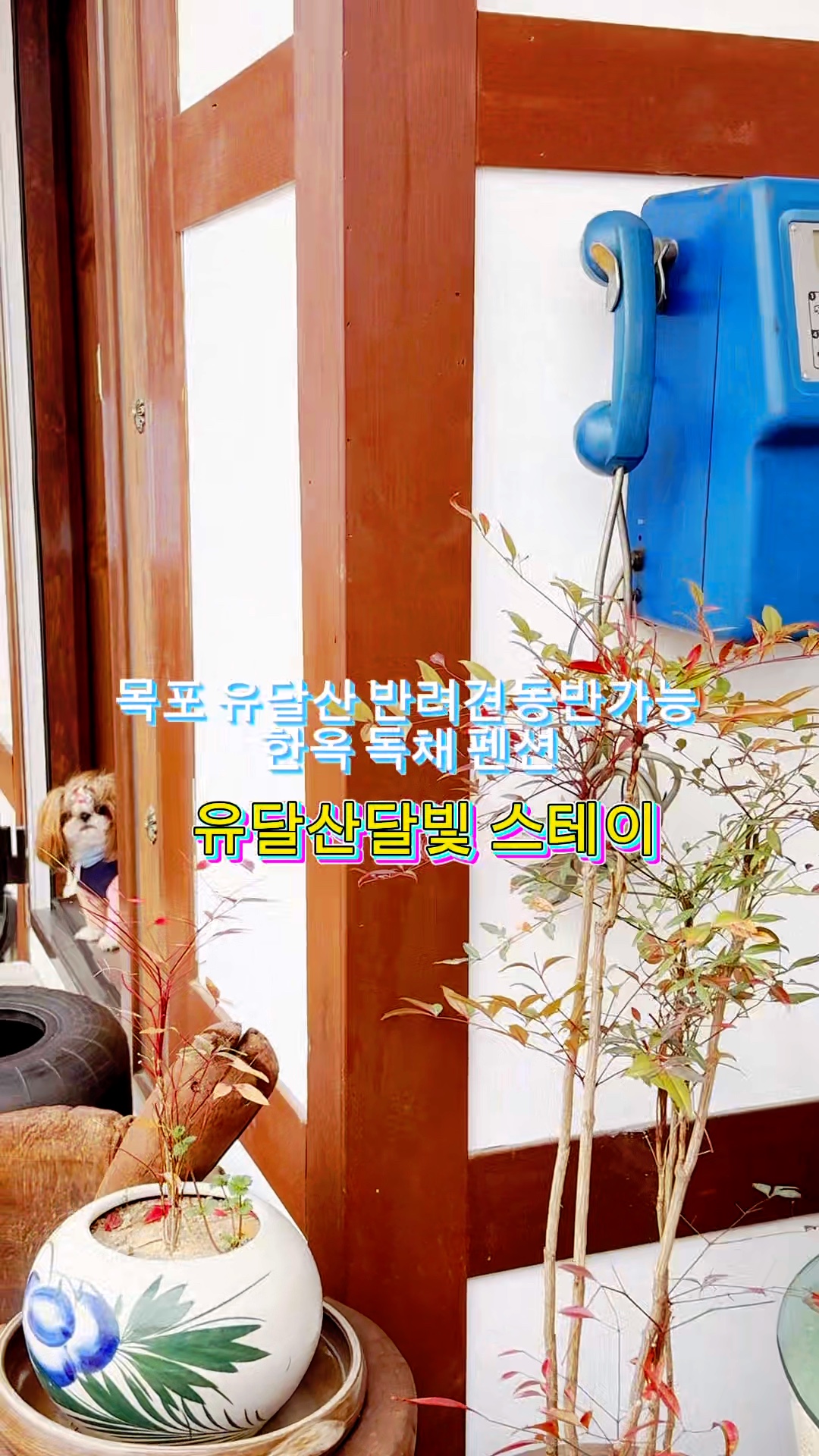 사진 2