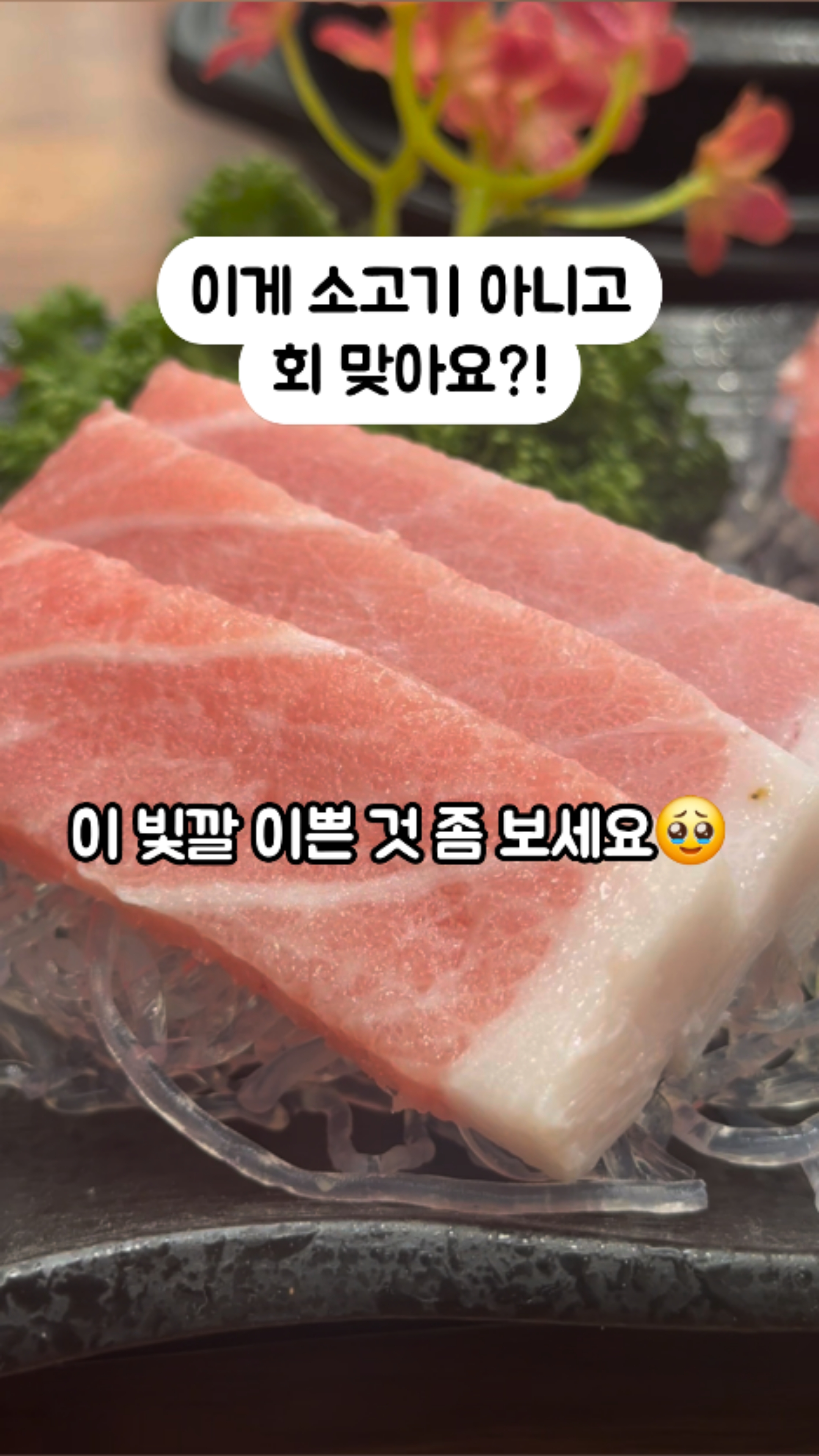 진오봉참치 이미지