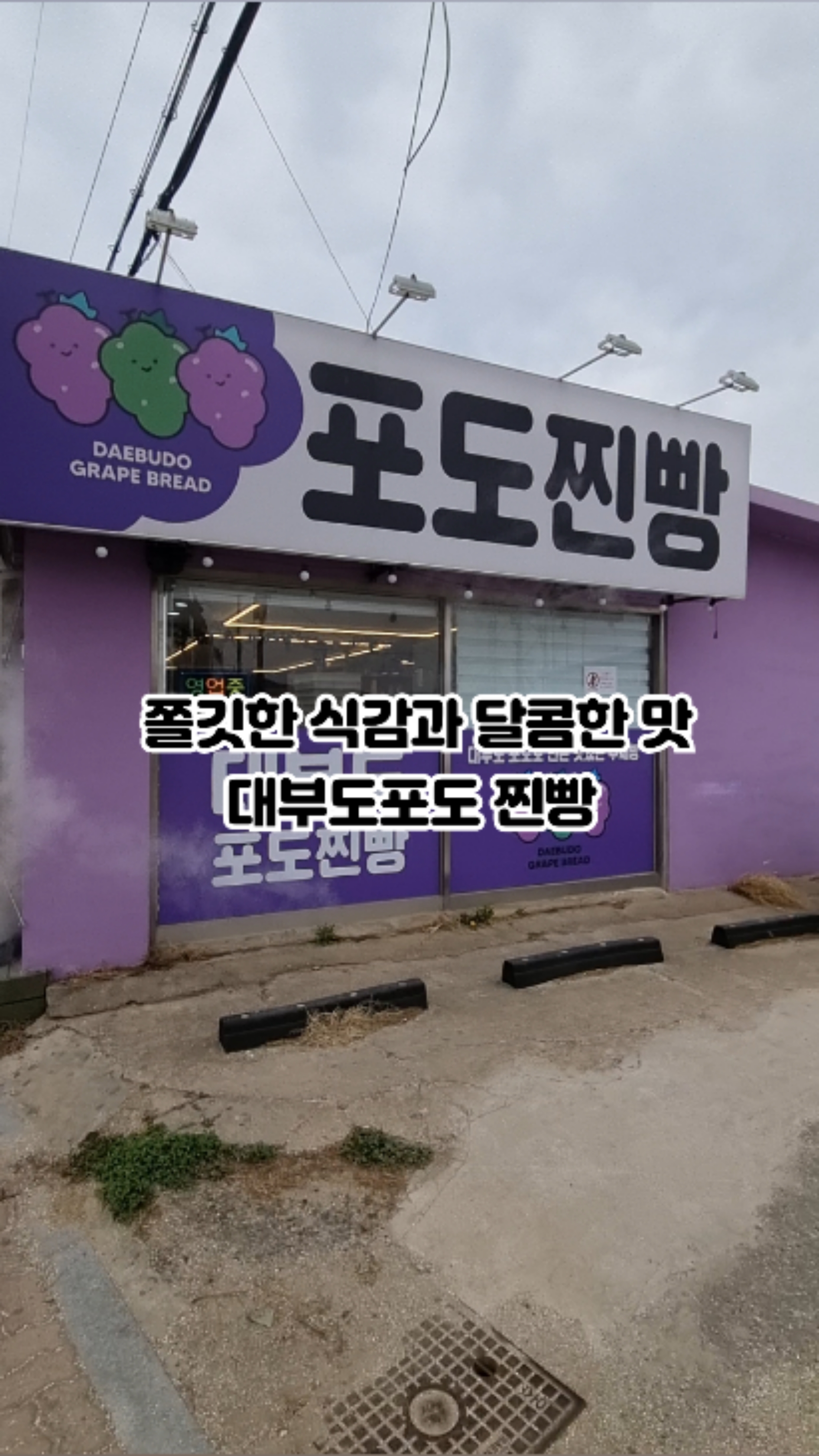 대부도포도찐빵 이미지