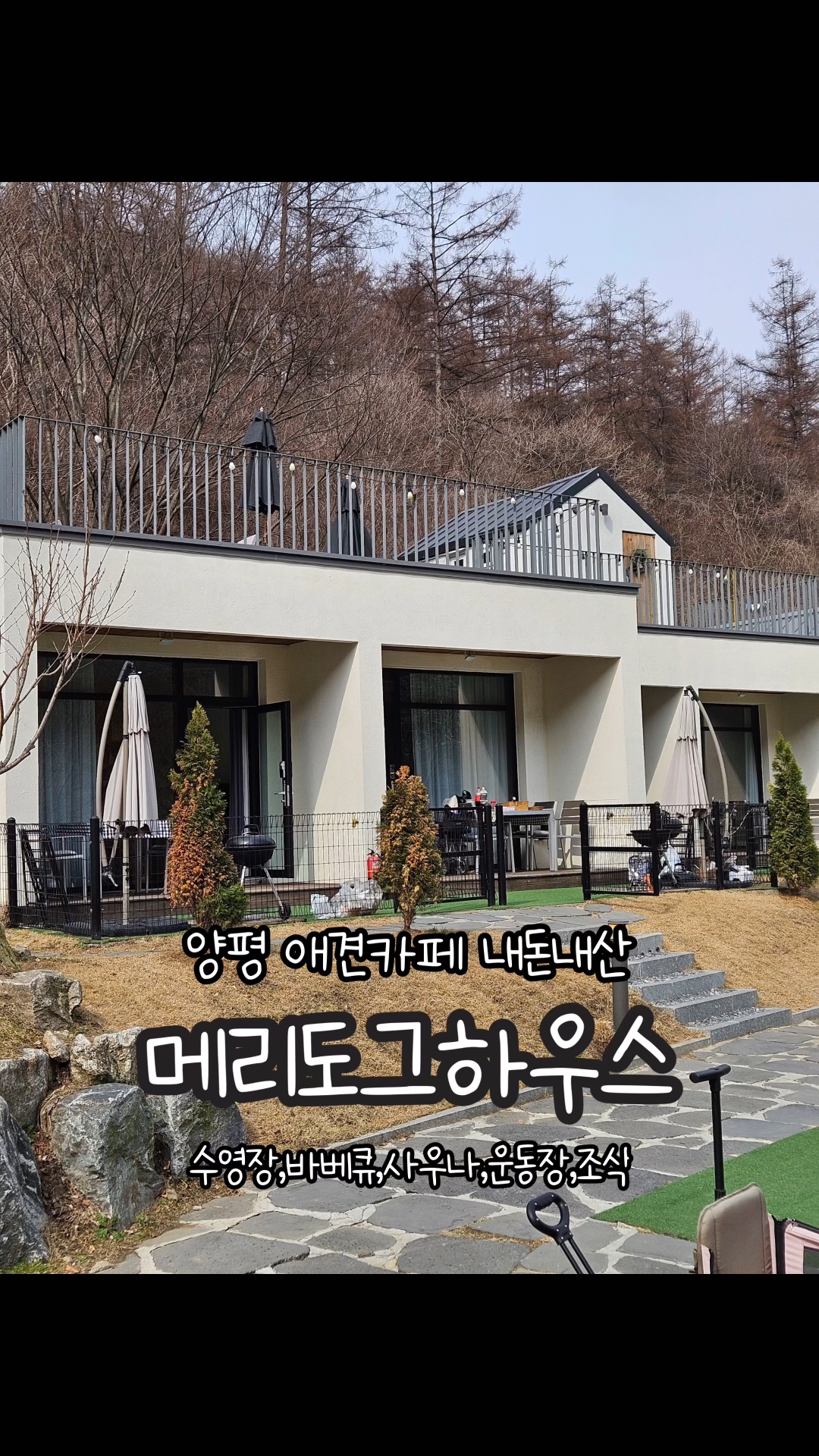 사진 7
