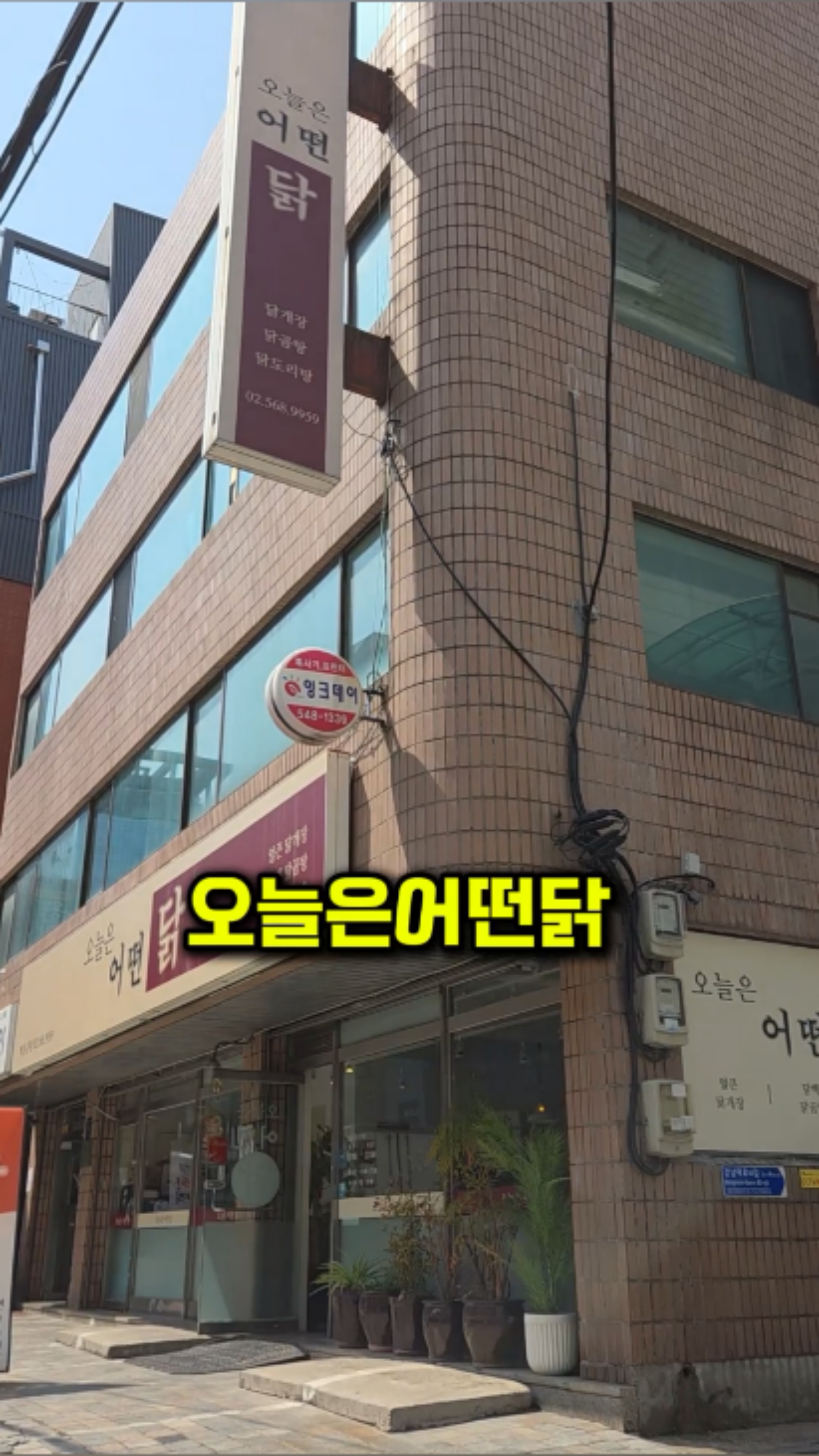 오늘은 어떤 닭 이미지