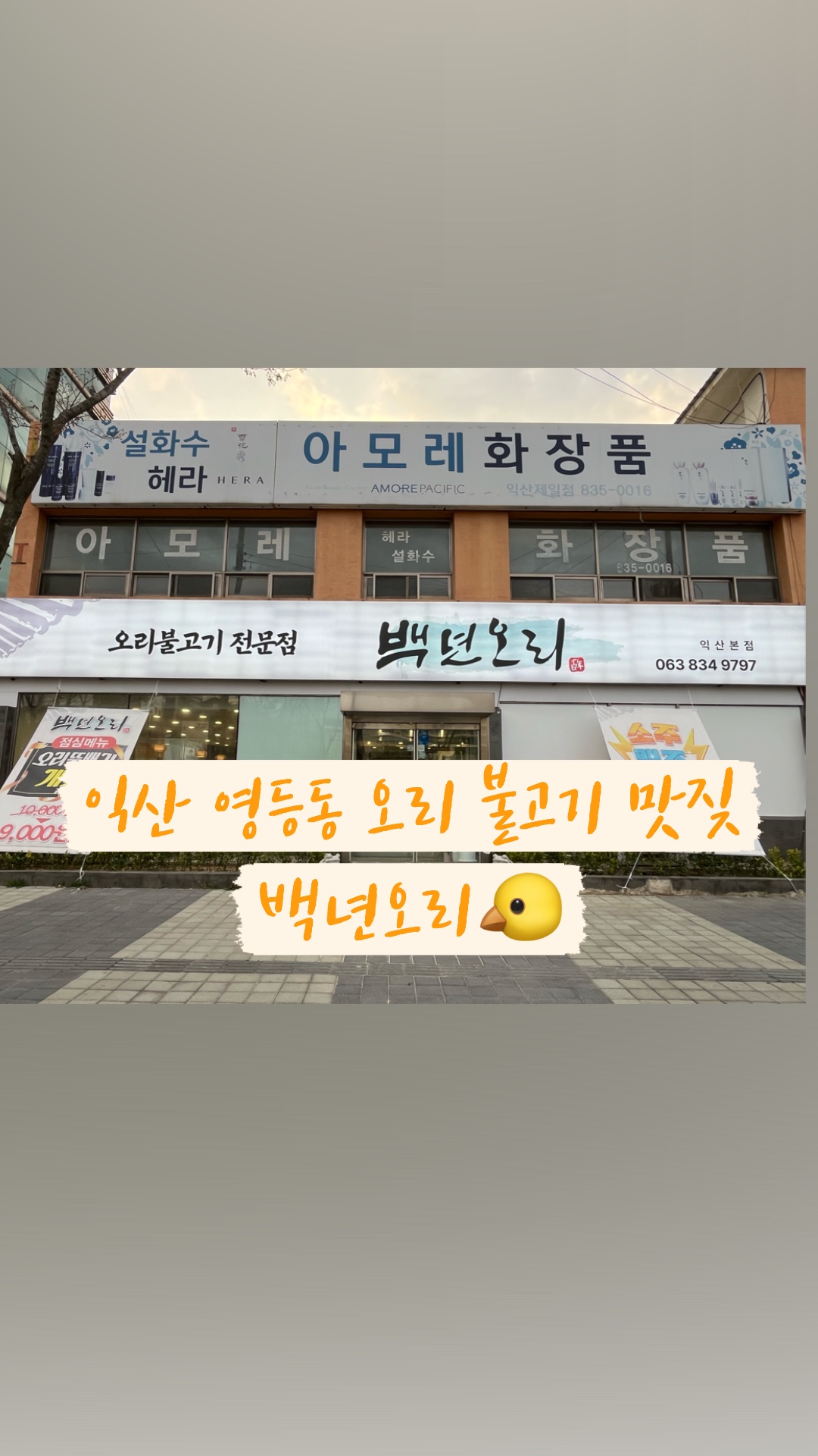 백년오리 이미지