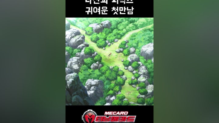 [터닝메카드] 나찬과 피닉스 귀여운 첫만남 - 네이버 TV