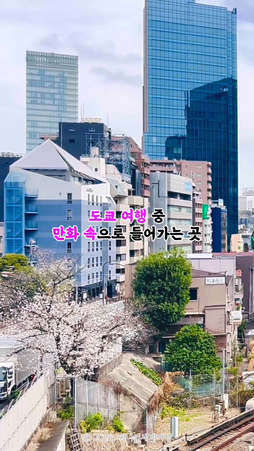 카츠신 이미지
