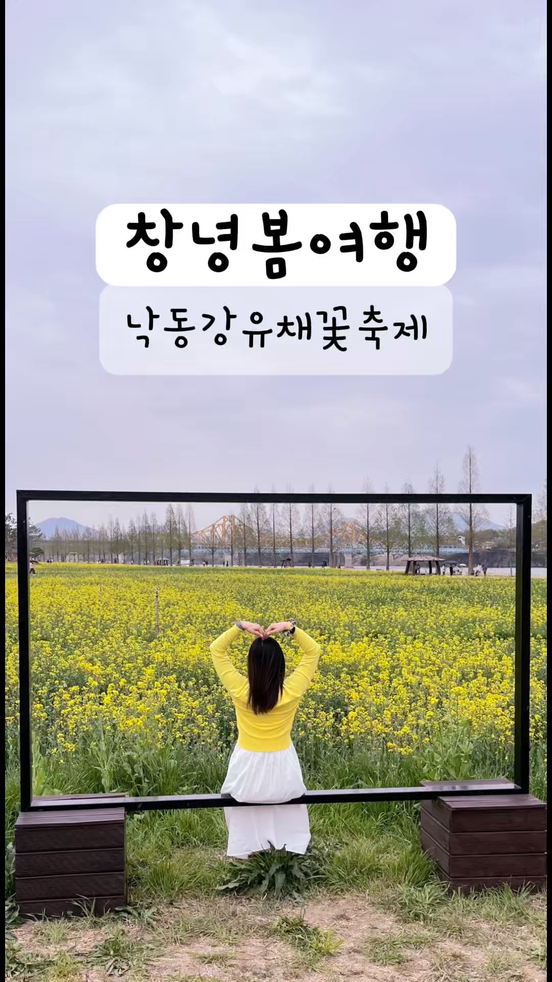 창녕영산커피무제 이미지