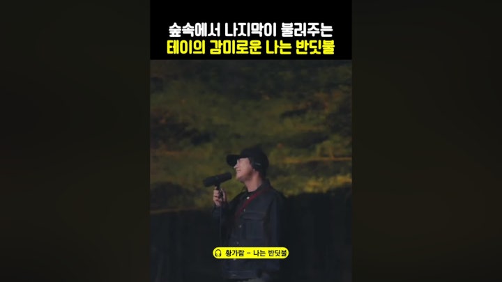 귓가에다 불러주는 것 같음.. 와 쩐다 - 네이버 TV