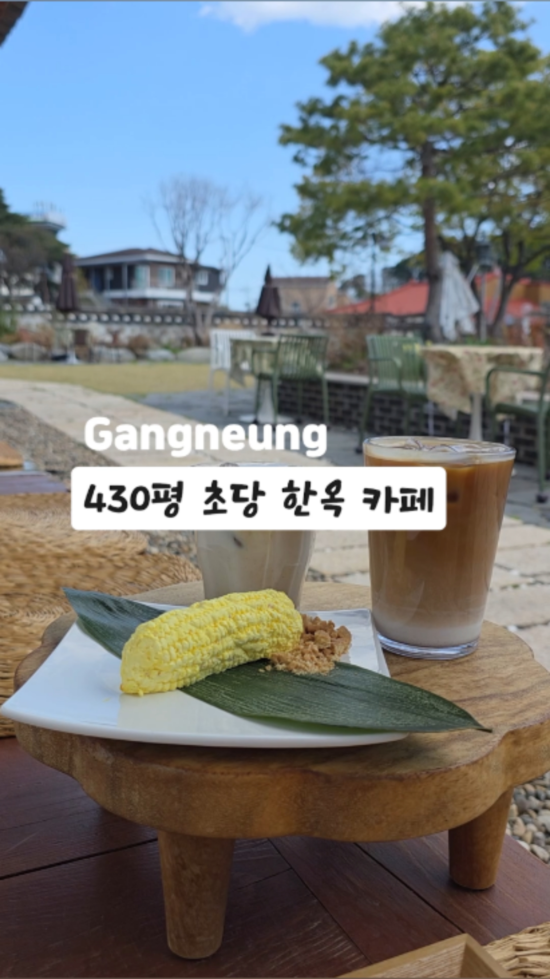 목과원 이미지