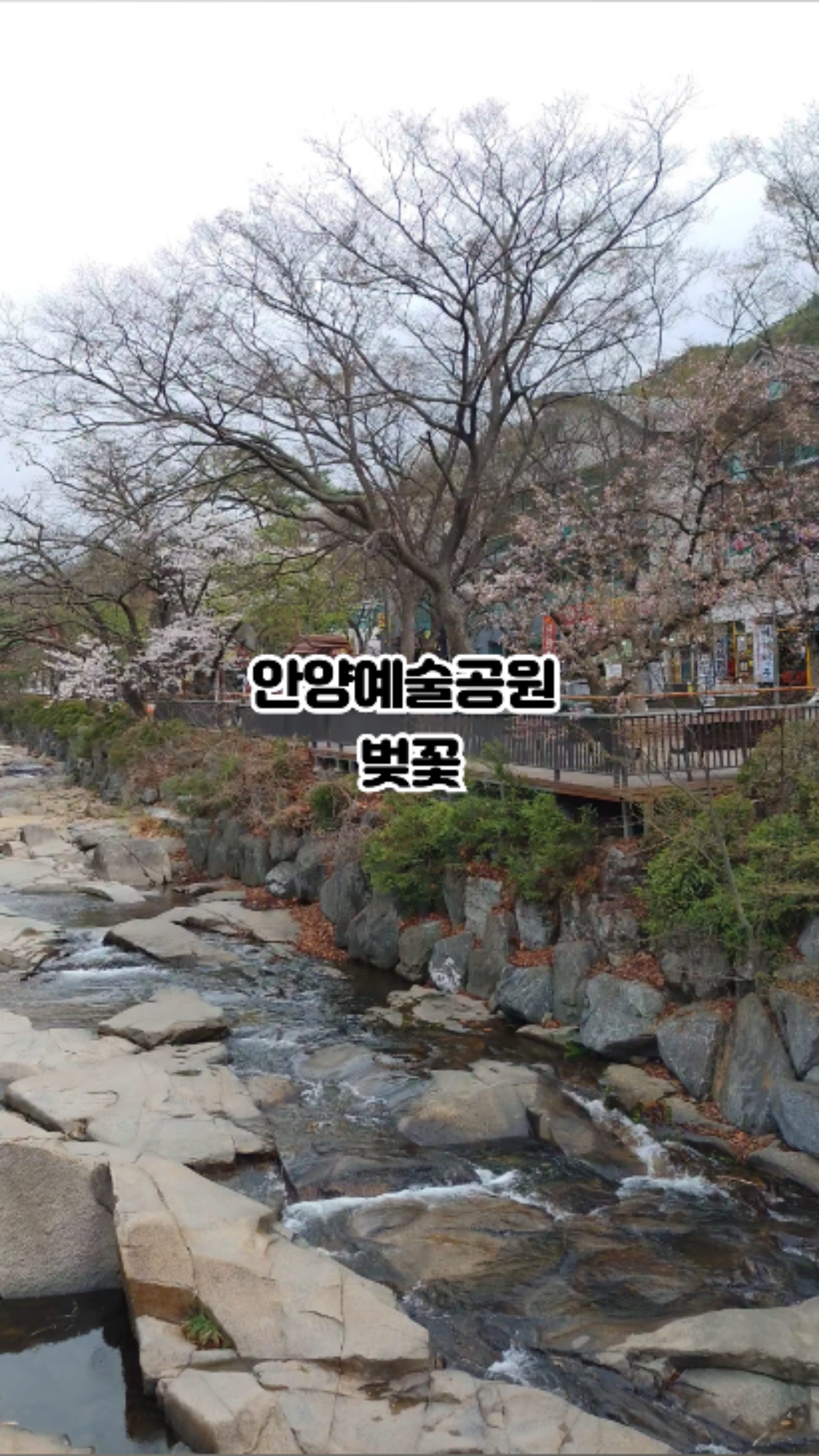예술공원로131번길 이미지