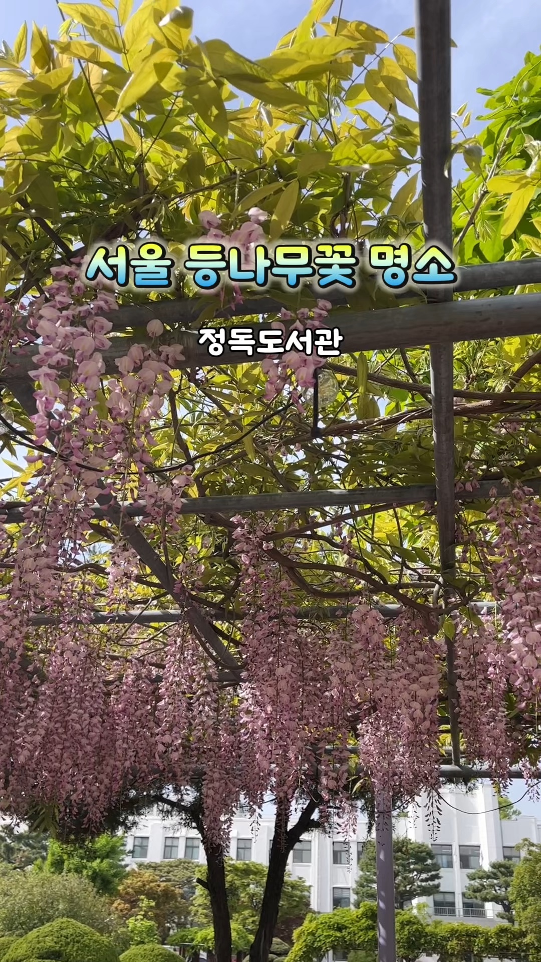창림초등학교 이미지