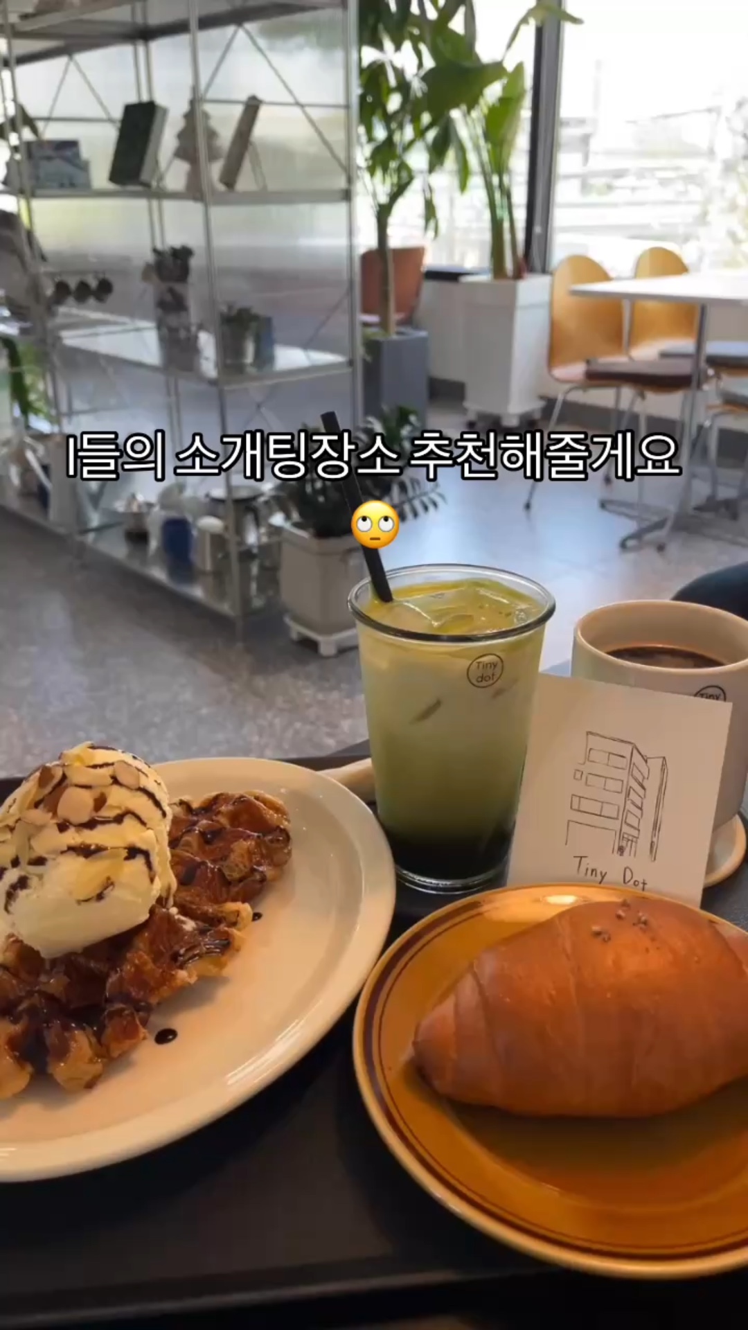타이니닷(Tiny dot) 이미지