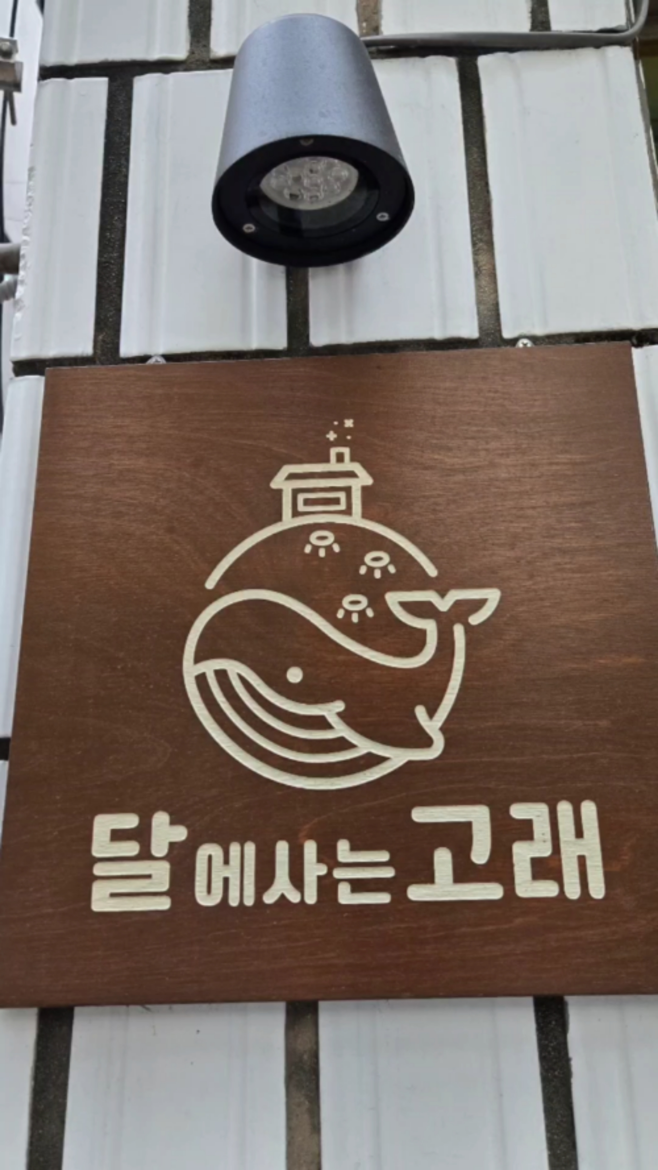 달에사는고래 이미지