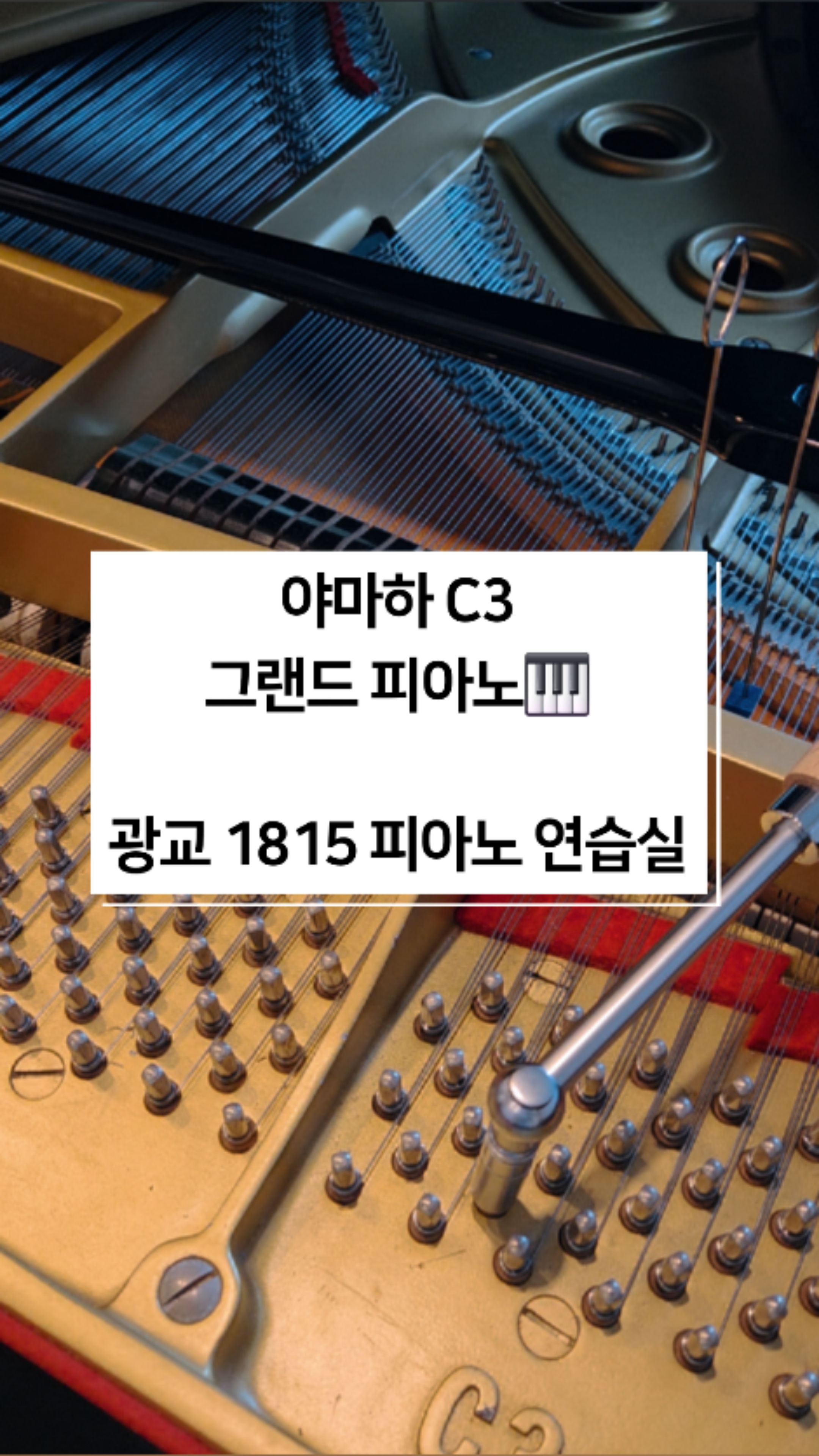 2번째 스튜디오 사진