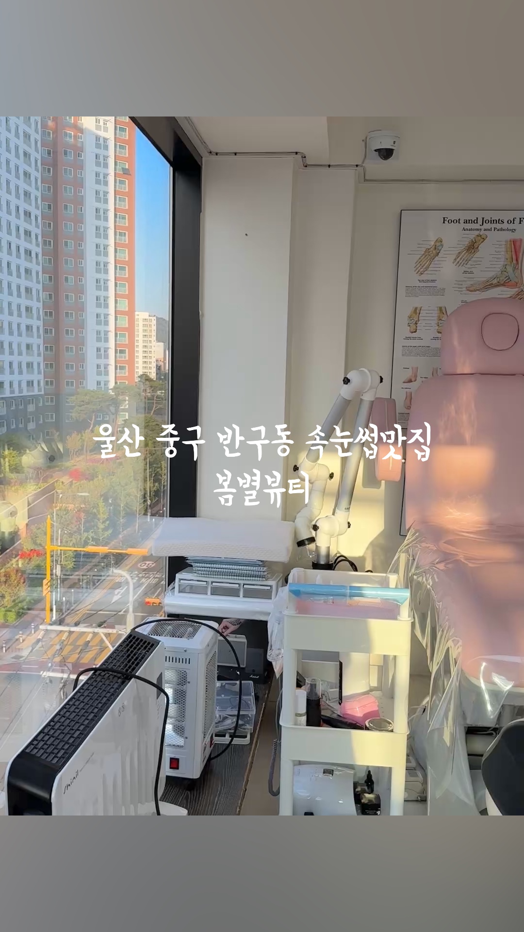 봄별 이미지