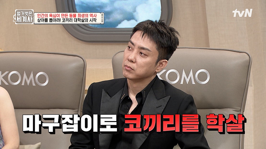 코끼리 대학살 이후... 상아 없이 진화한 아프리카 코끼리? | tvN 250422 방송 - 네이버 TV
