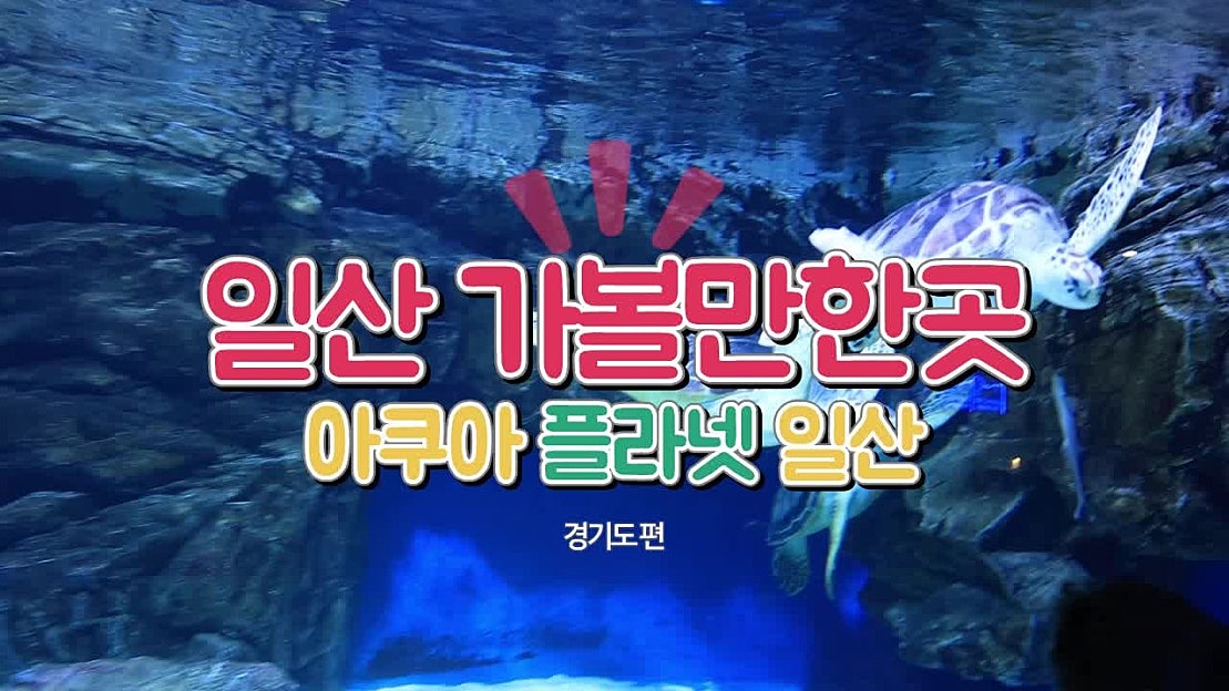 경기도 일산 가볼만한곳 아쿠아플라넷 아쿠아리움 일산 갈만한곳 - 네이버 TV