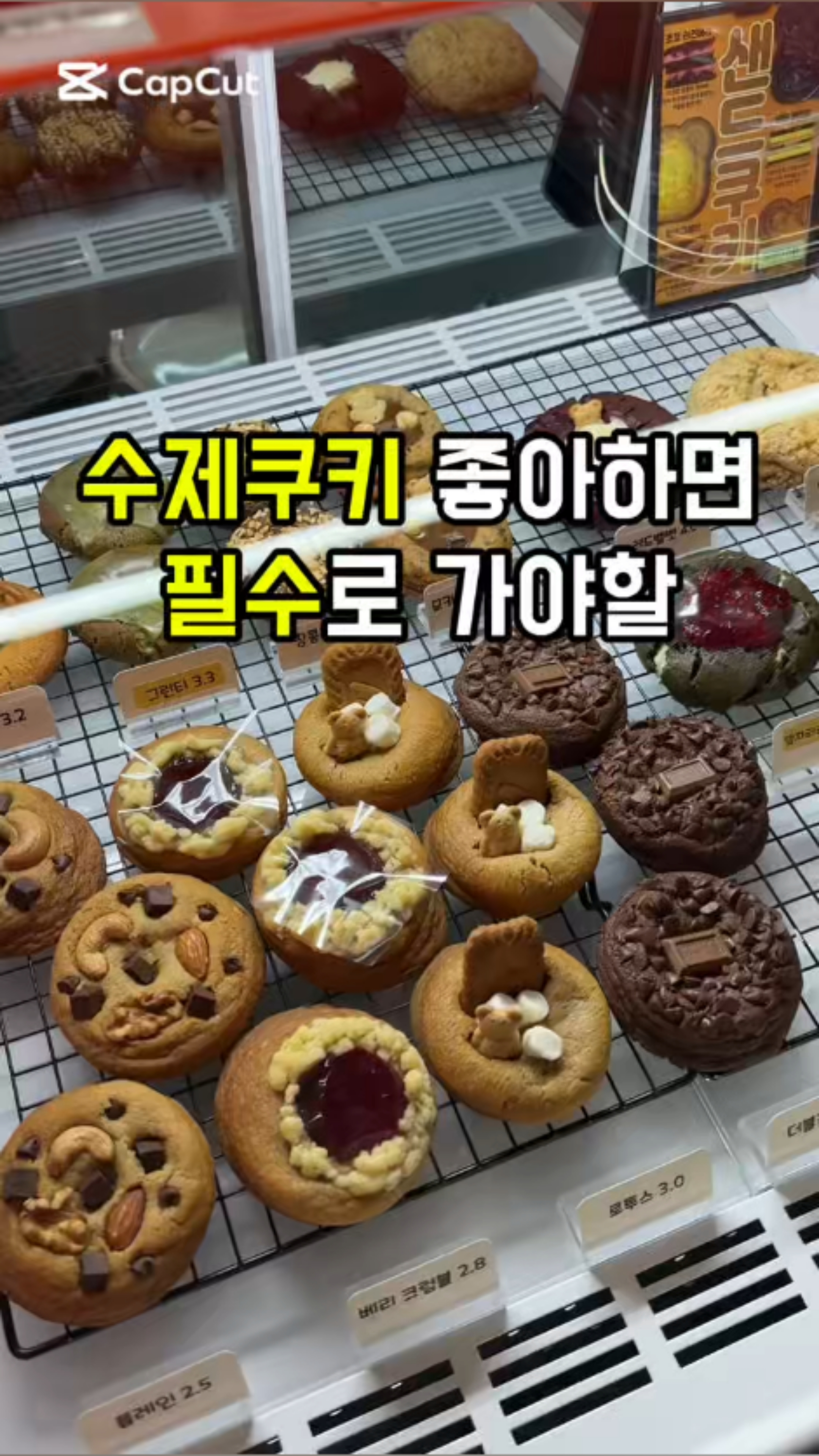 호랭이카노 이미지