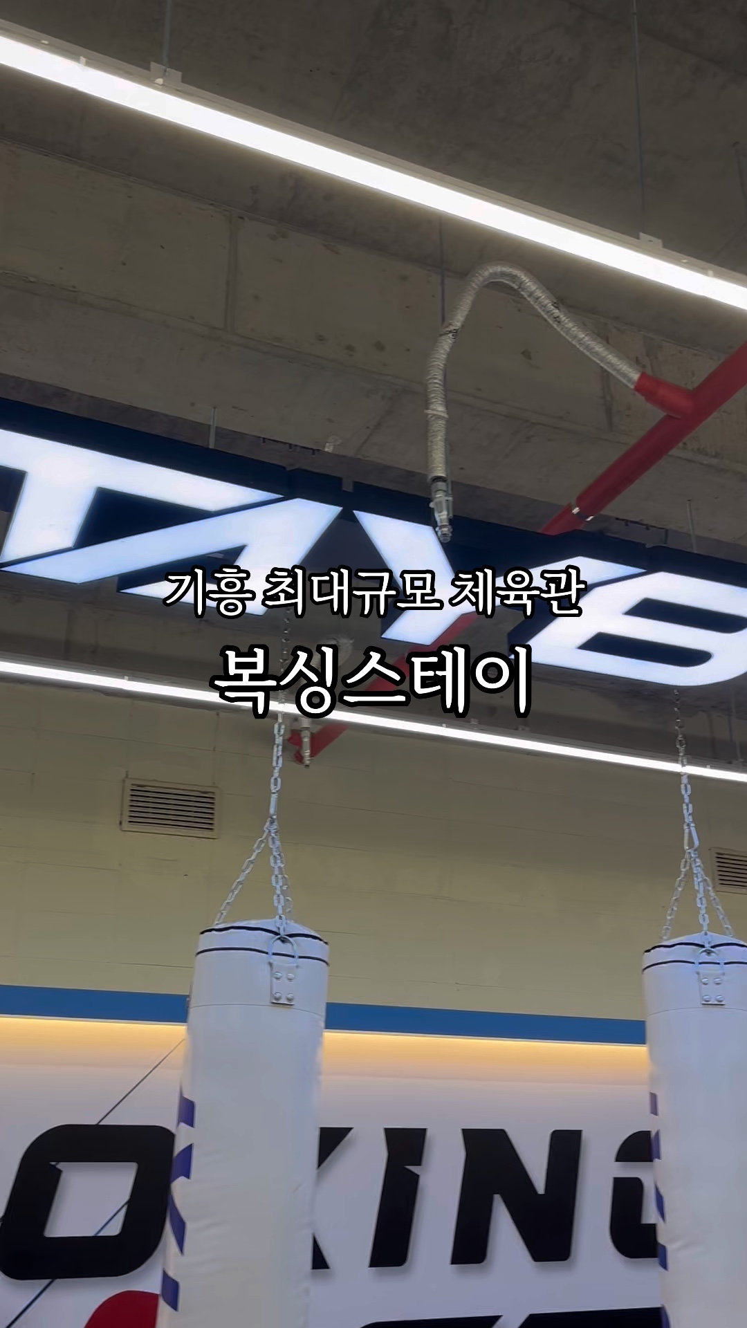 다찌스테이 이미지