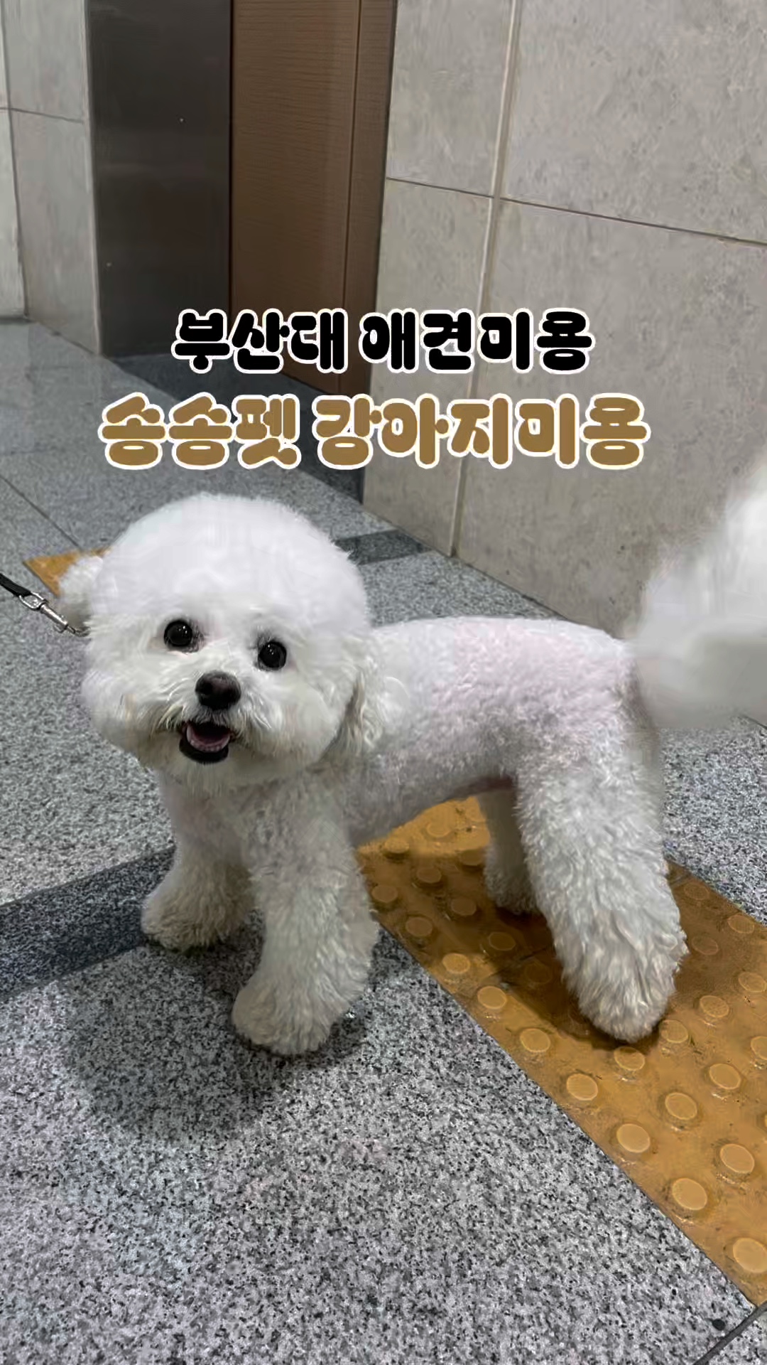 사진 5