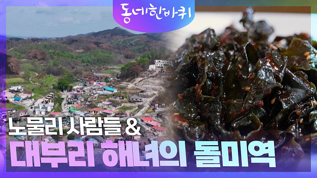 노물리 사람들 & 대부리 해녀의 돌미역 | KBS 250524 방송 - 네이버 TV