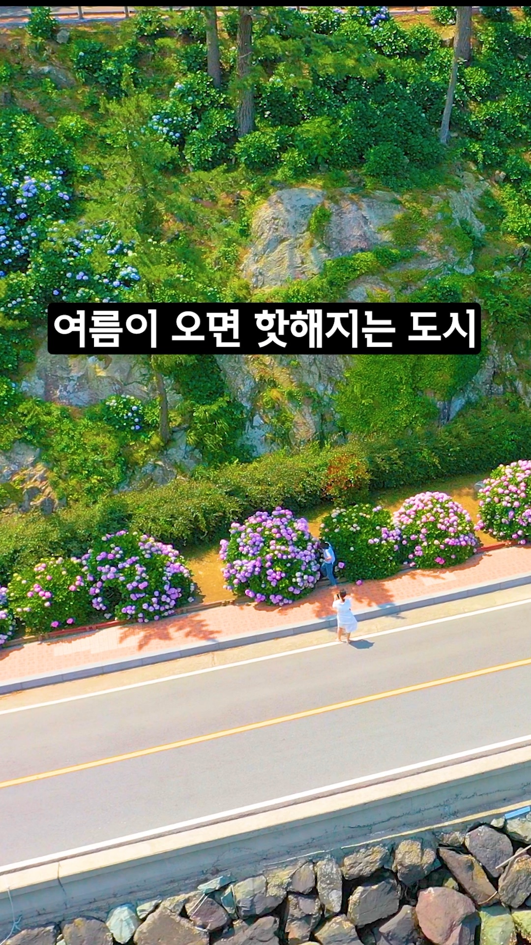 여름이 오면 핫해지는 도시