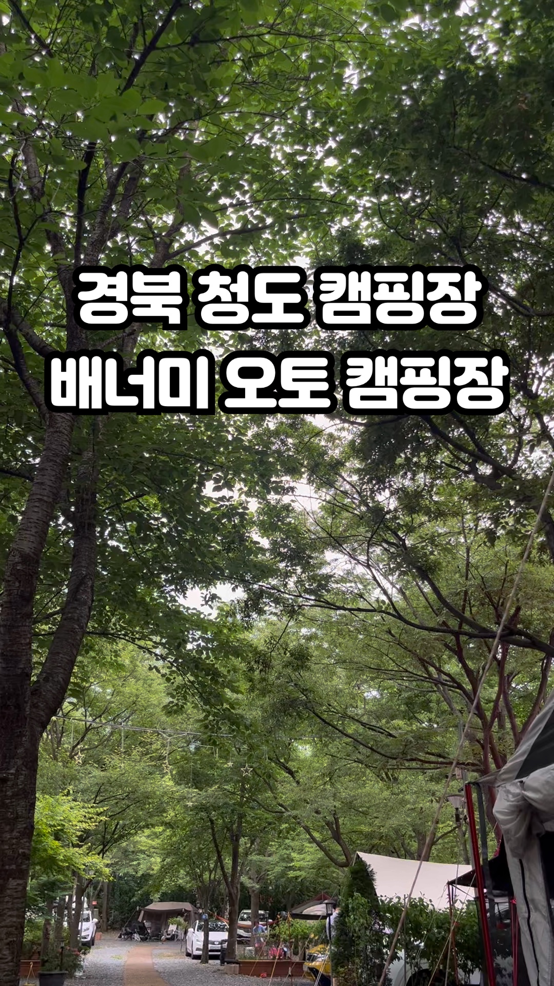 배너미오토캠핑장 이미지