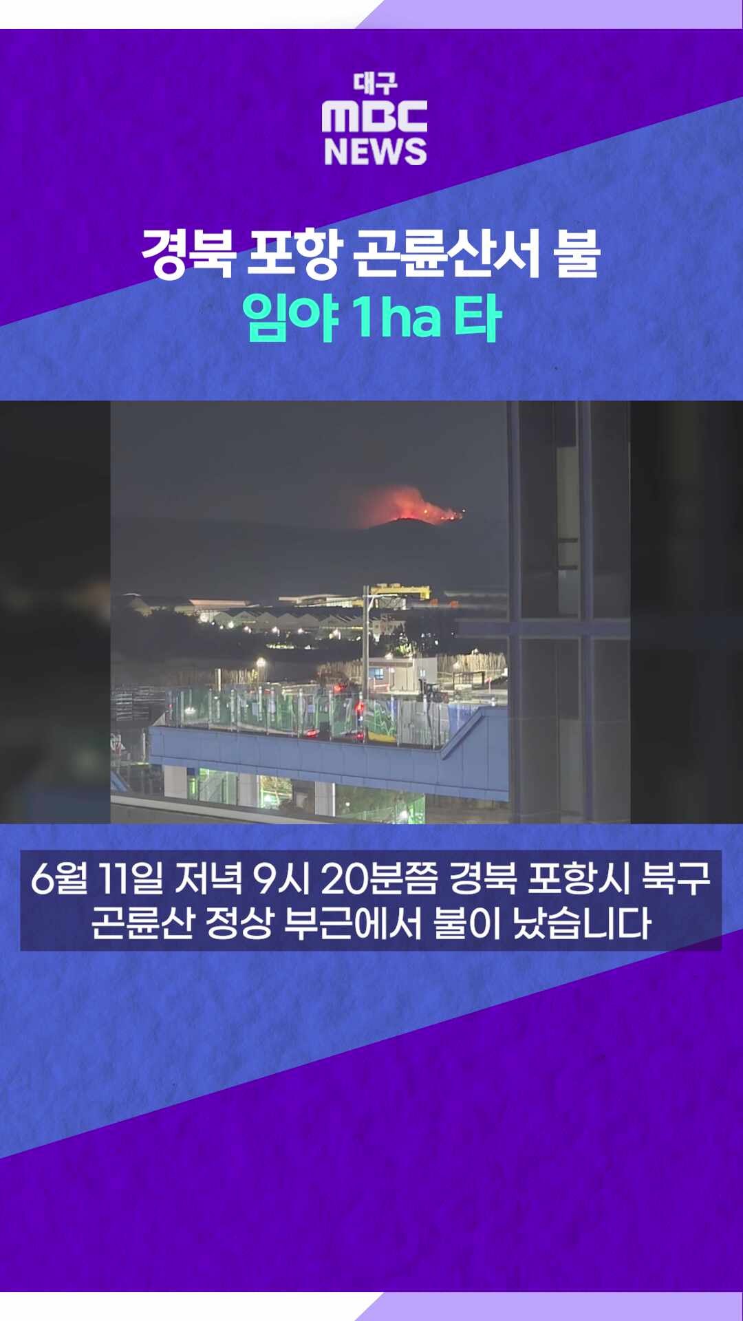 경북 포항 곤륜산서 불⋯임야 1ha 타