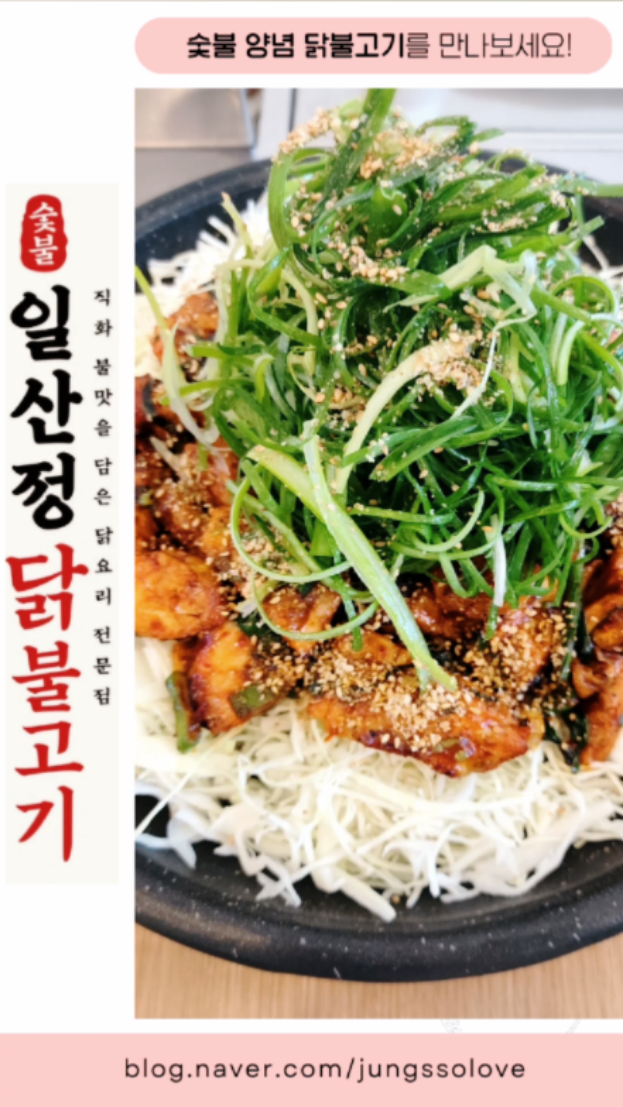 정닭 이미지