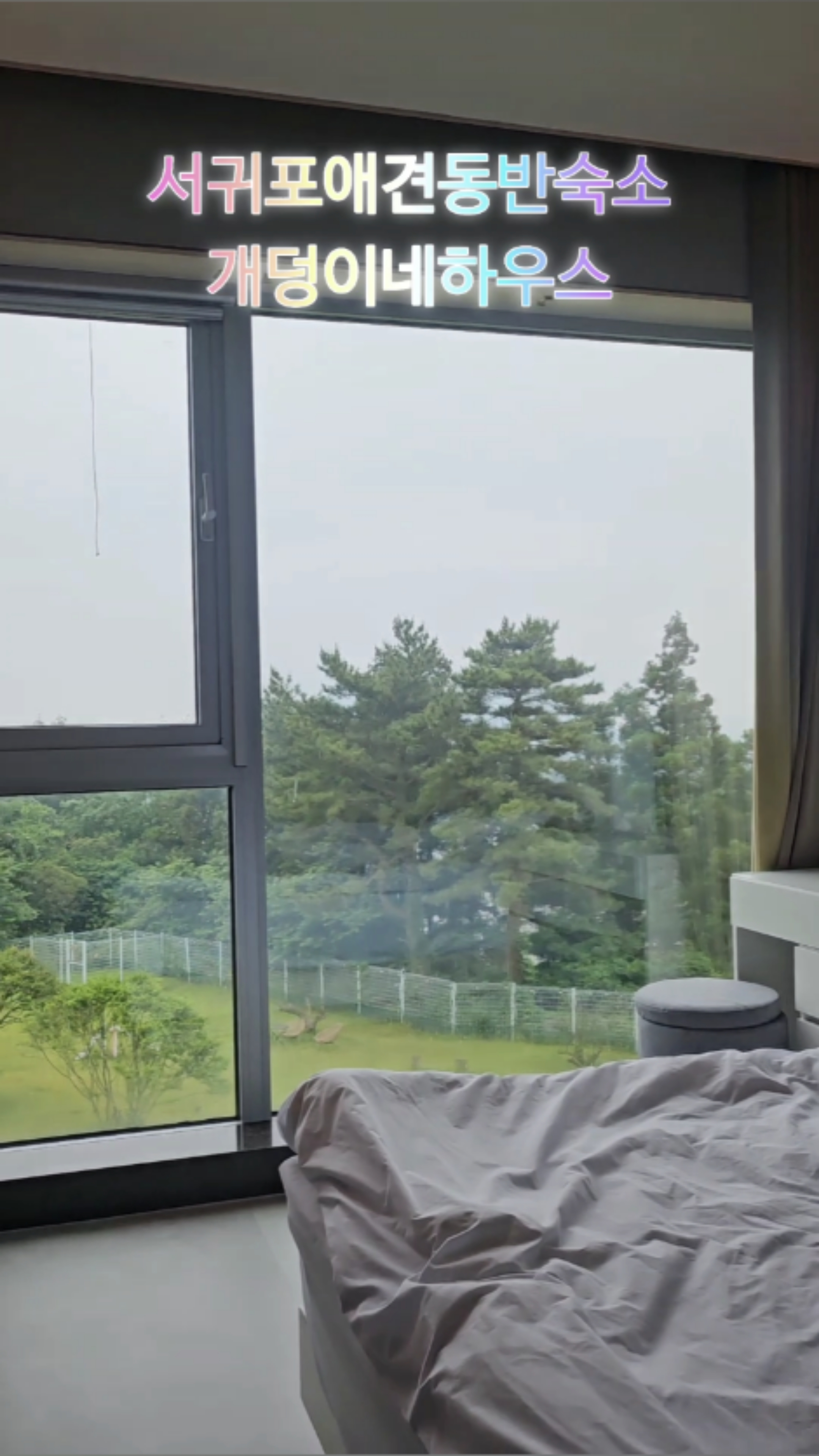 사진 2