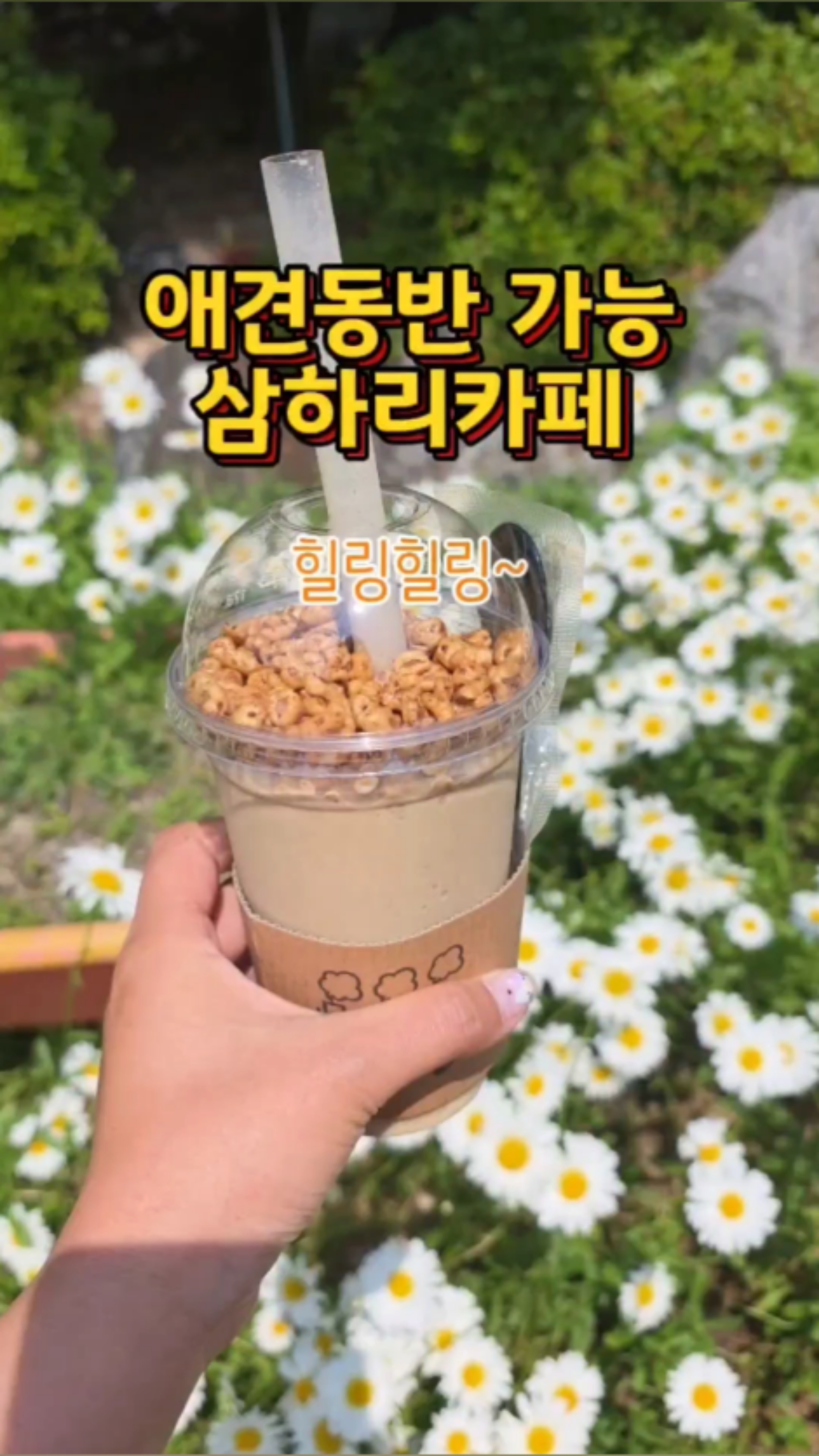 고봉막국수 이미지