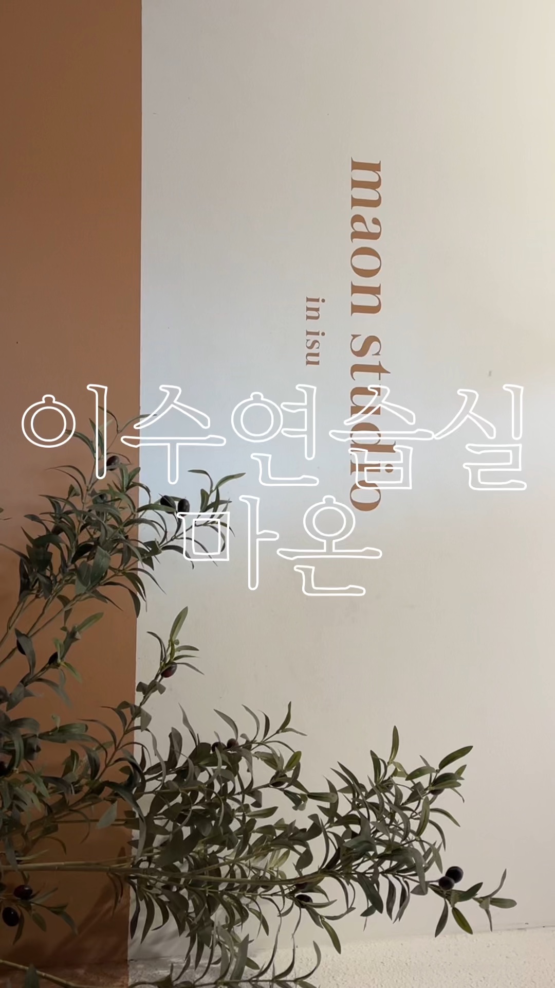 2번째 스튜디오 사진