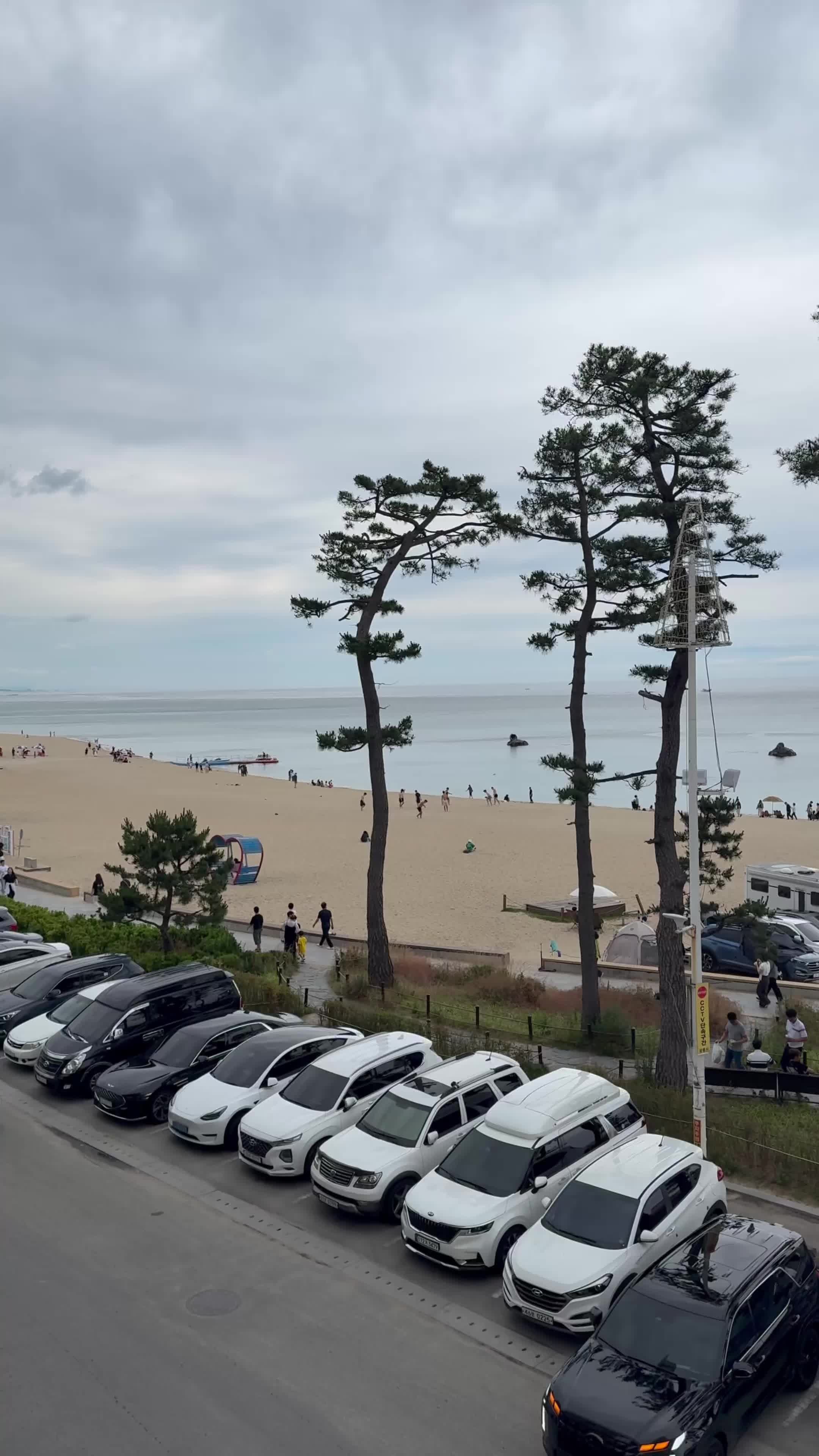 강릉 카페거리 가볼만한 카페 오션뷰 좋고