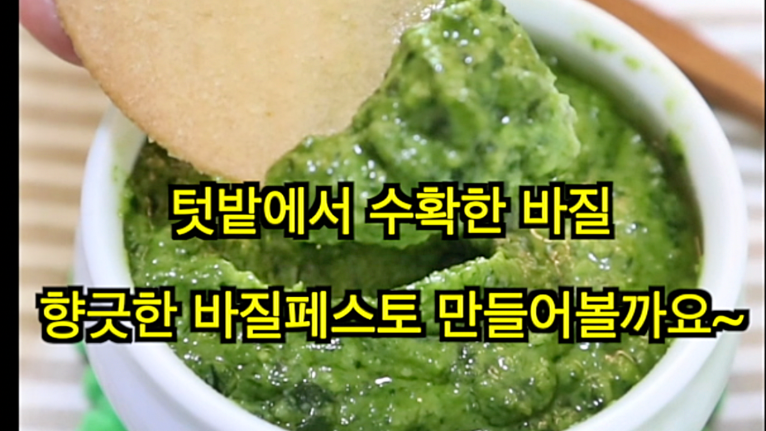 바질 페스토 만들기 바질 먹는법 바질요리 바질 소스 - 네이버 TV