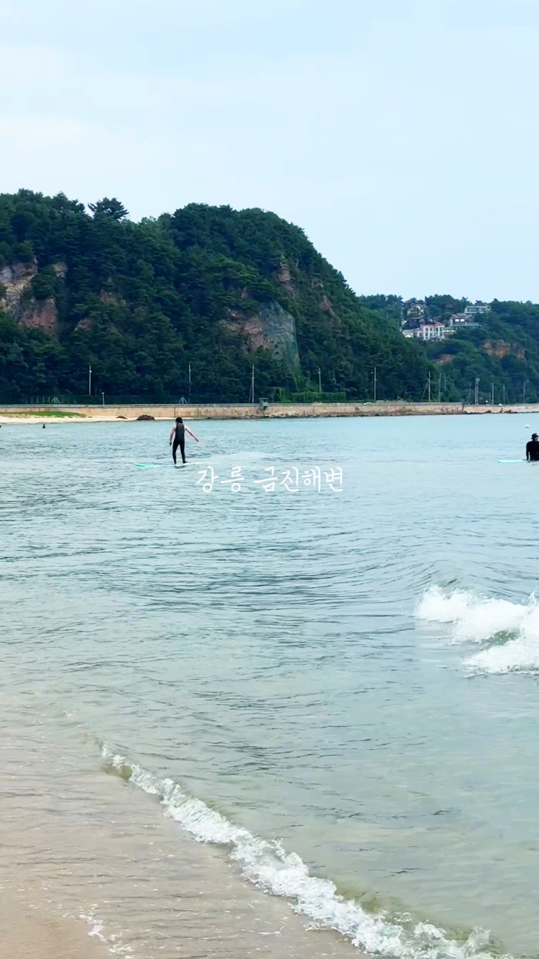 강릉 해수욕장 개장 바다 추천 금진해변