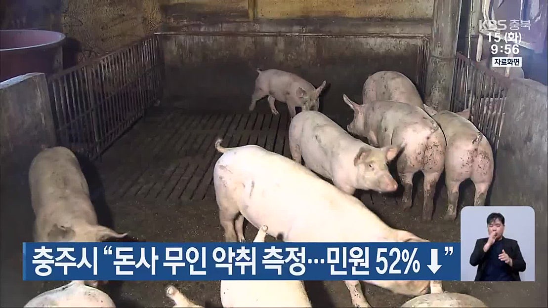 충주시 “돈사 무인 악취 측정…민원 52%↓” - 네이버 TV