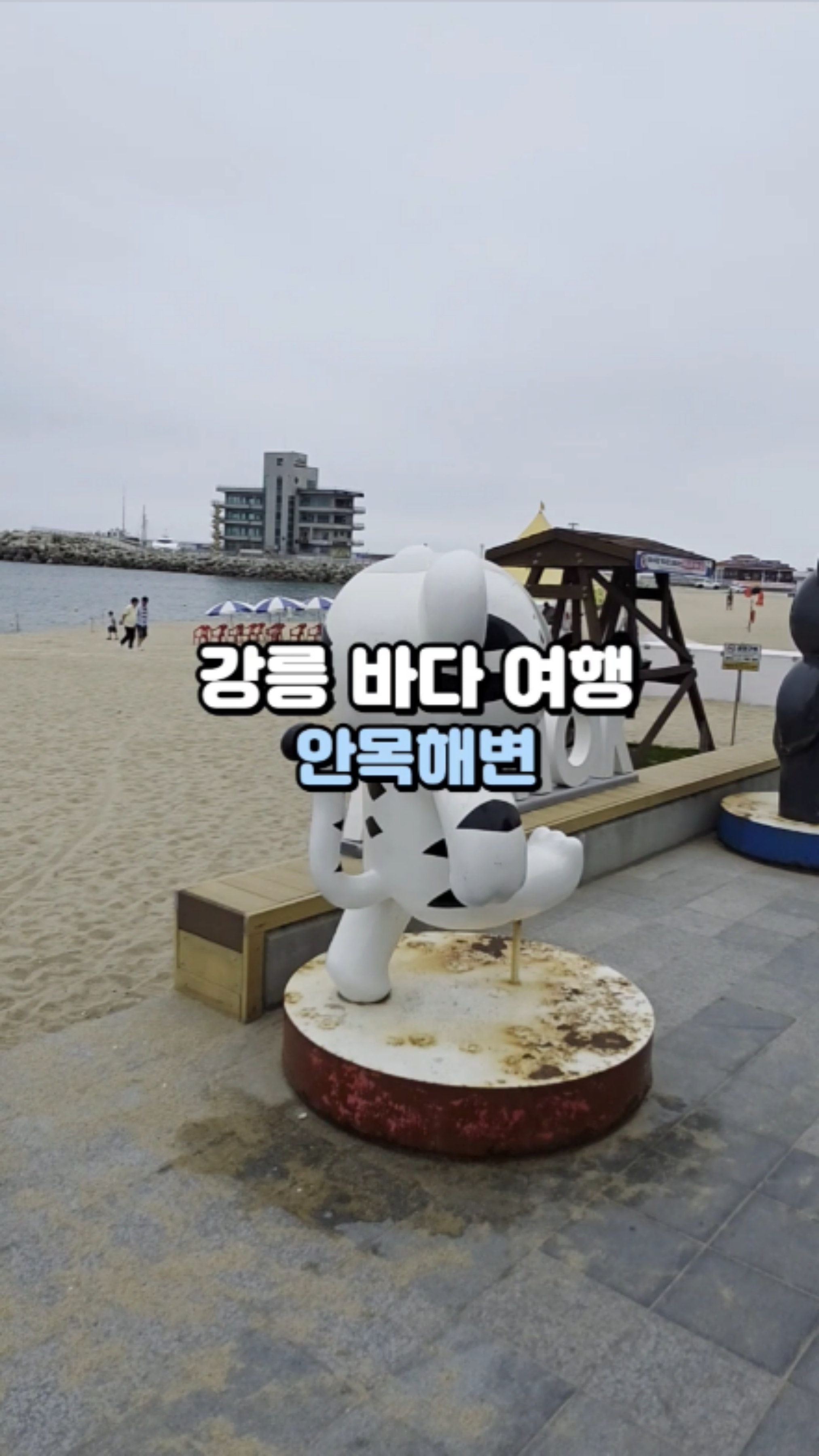 강릉바다 카페 강릉커피거리 강릉가볼만한곳