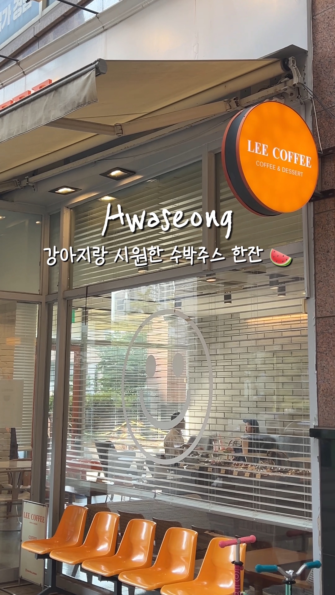 사진 5