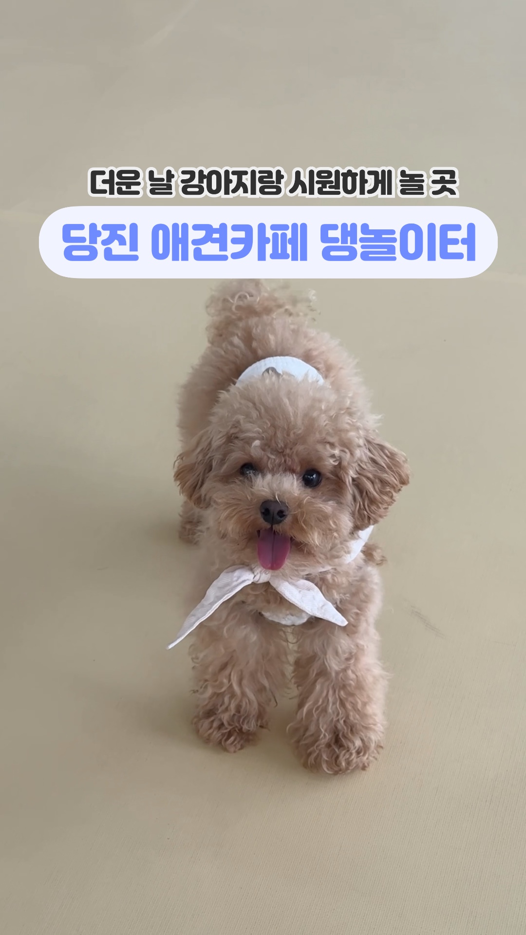 사진 9