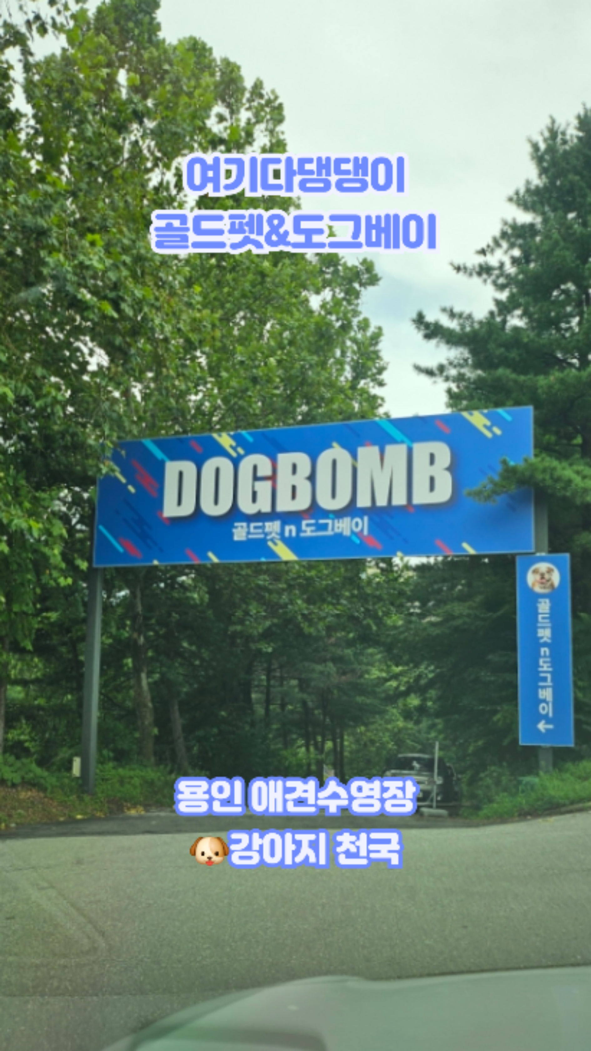 사진 4