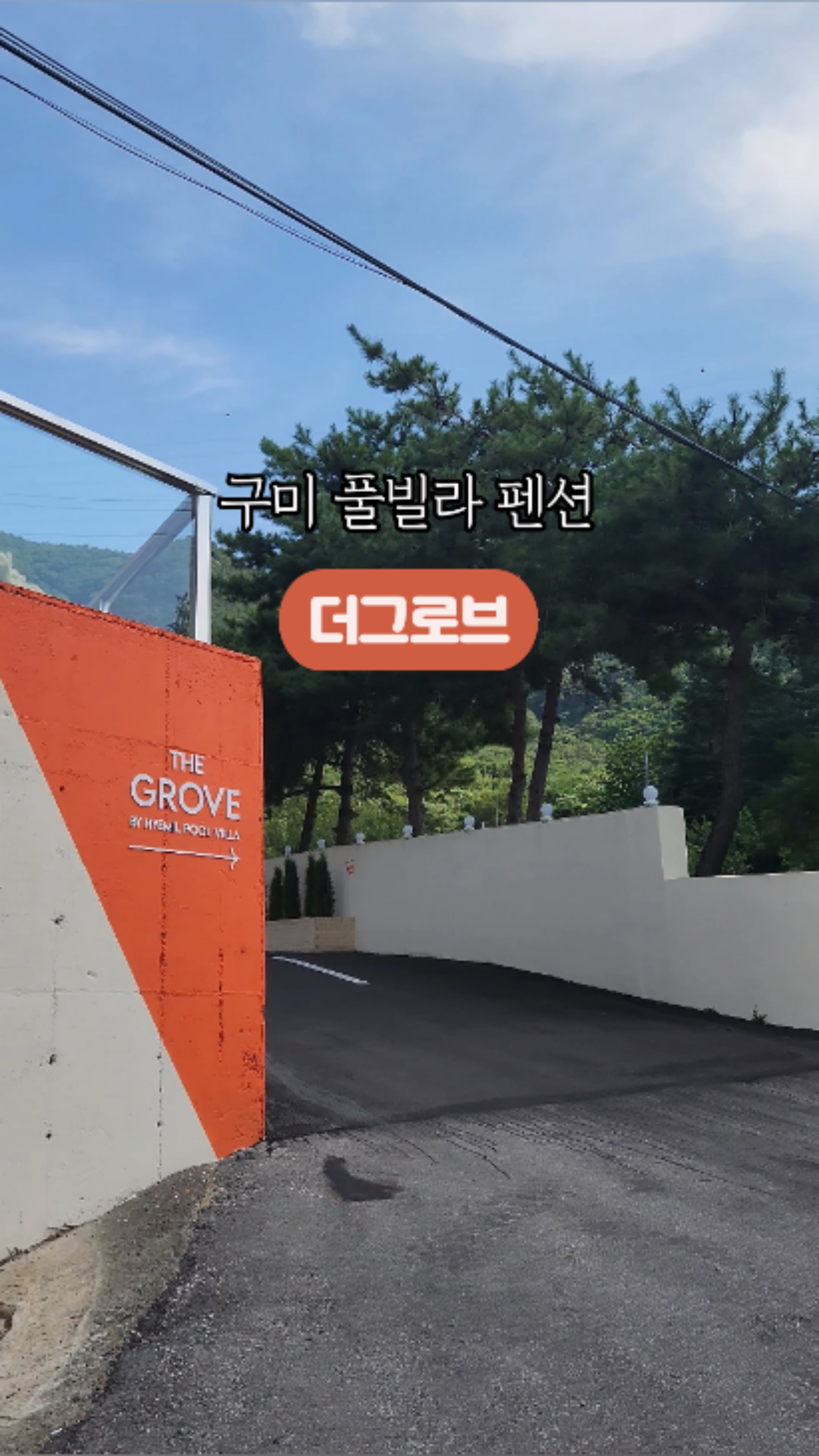 사진 6