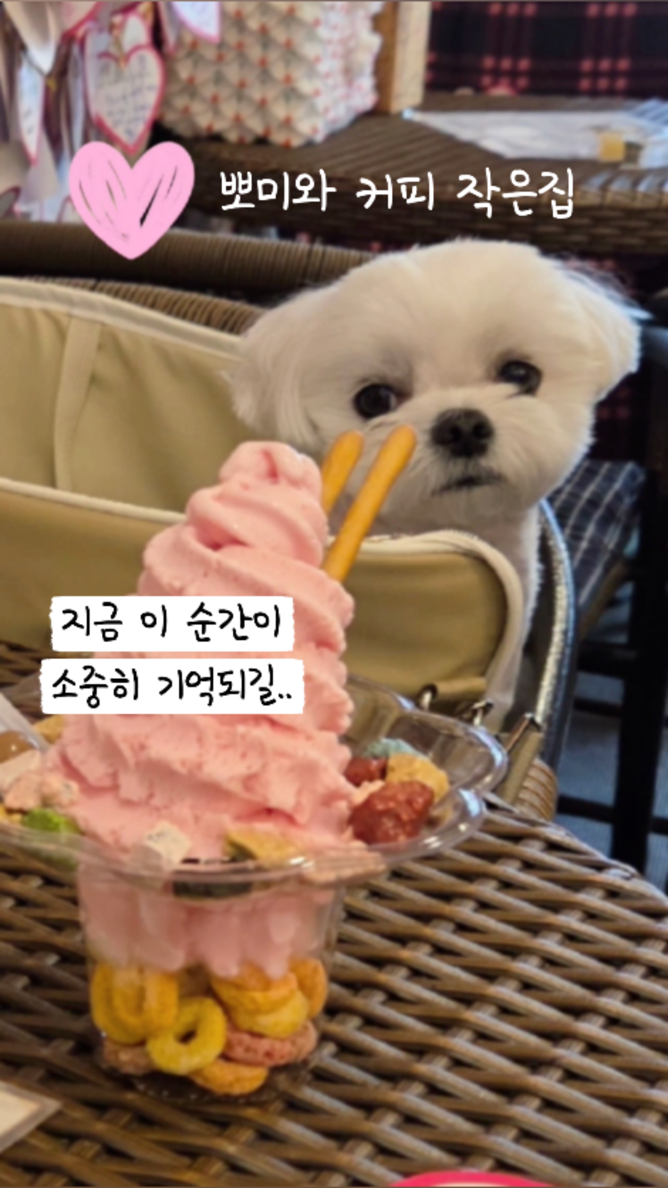 커피작은집 (Coffee Jageunjip) 4