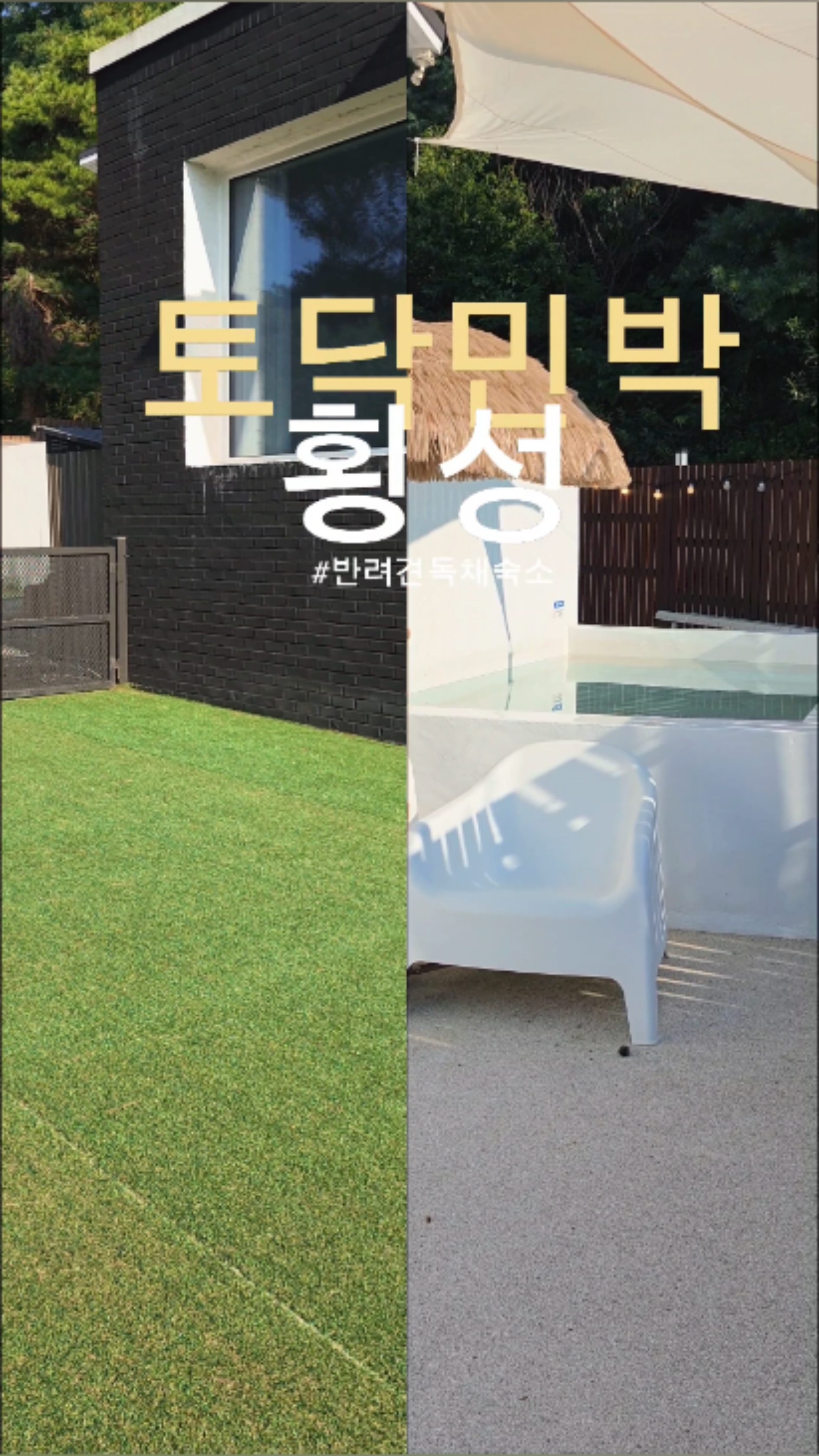 사진 12