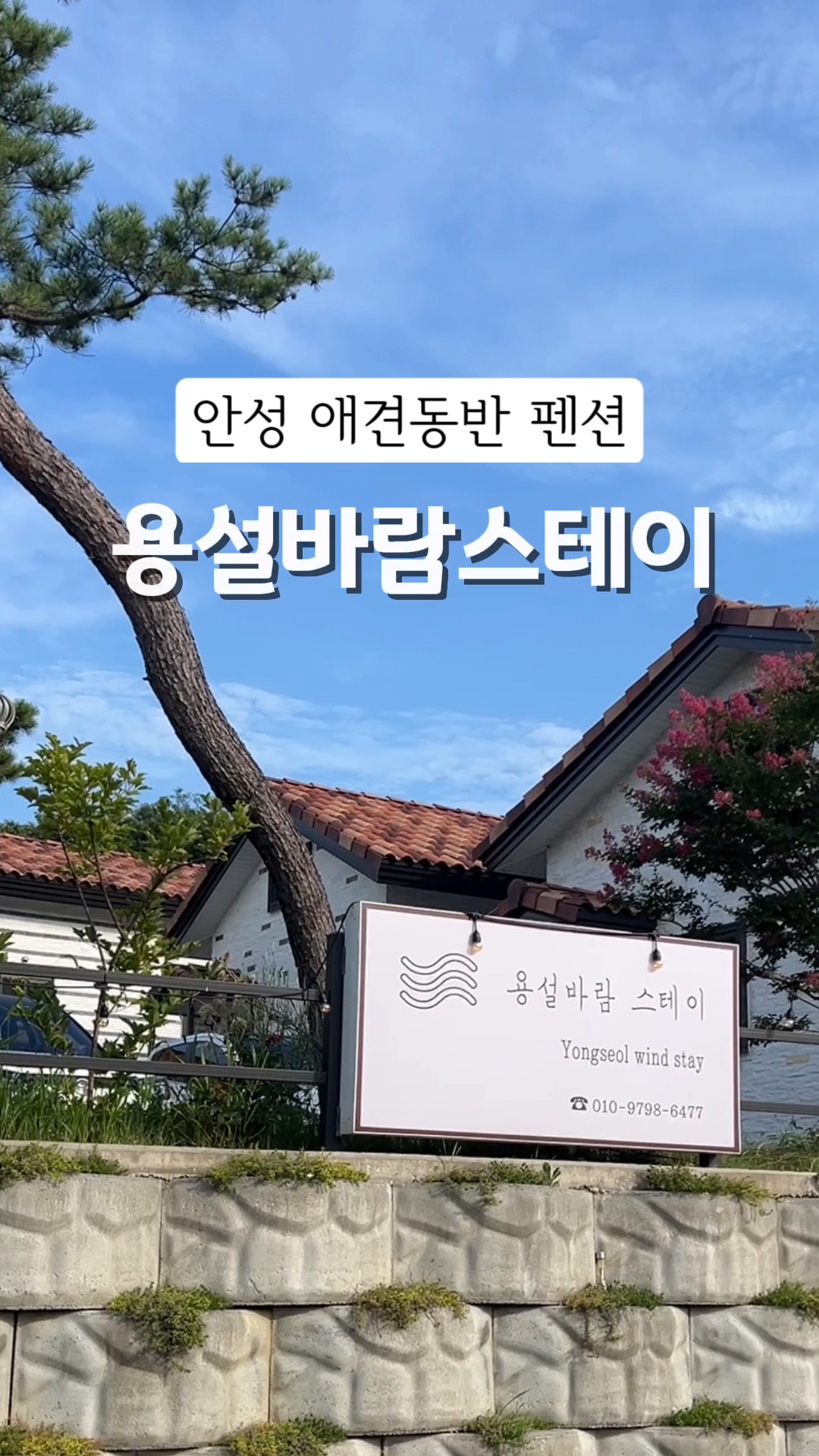 사진 5