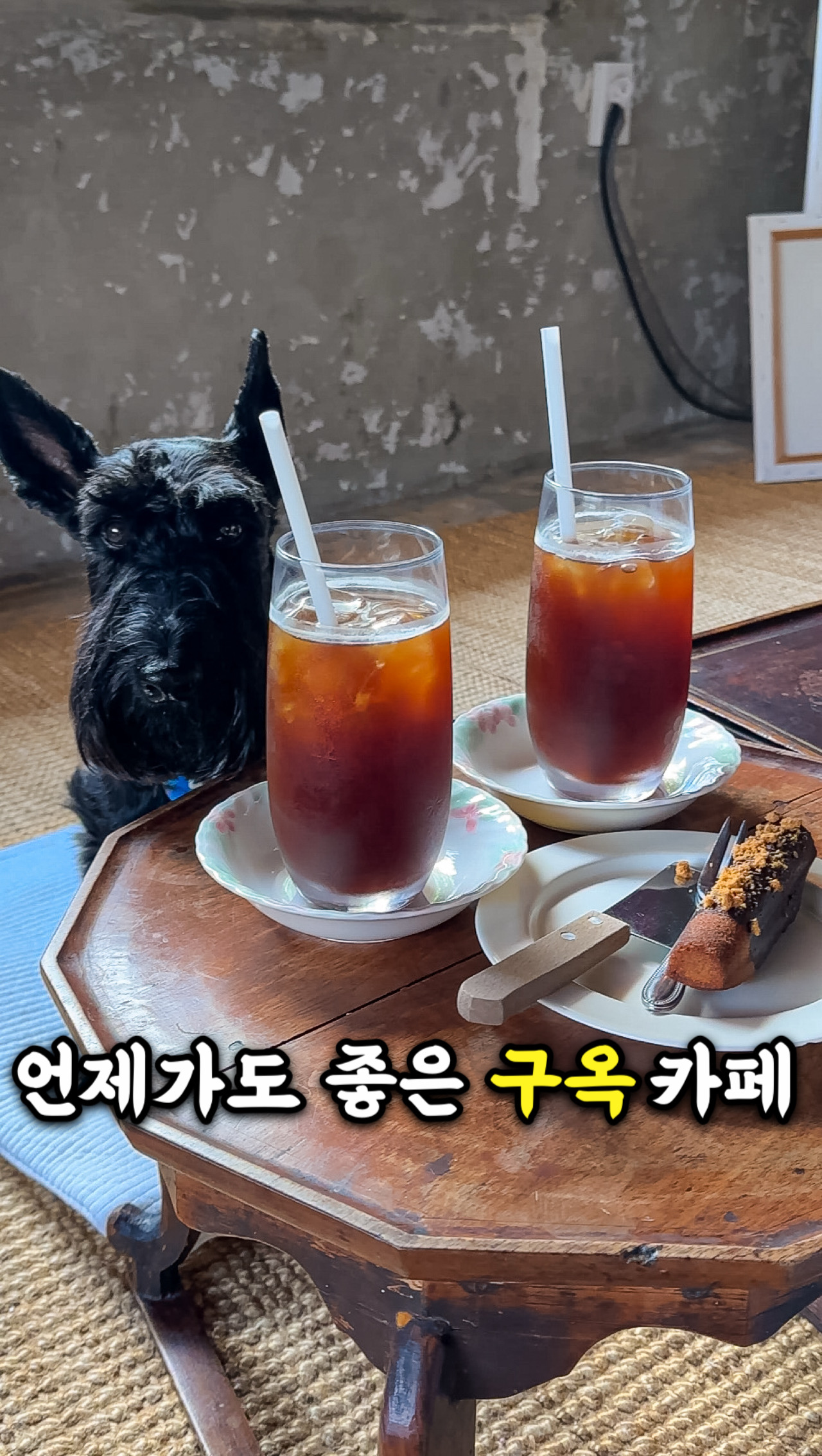 육지 지인들한테 추천해 주는 곳☕️