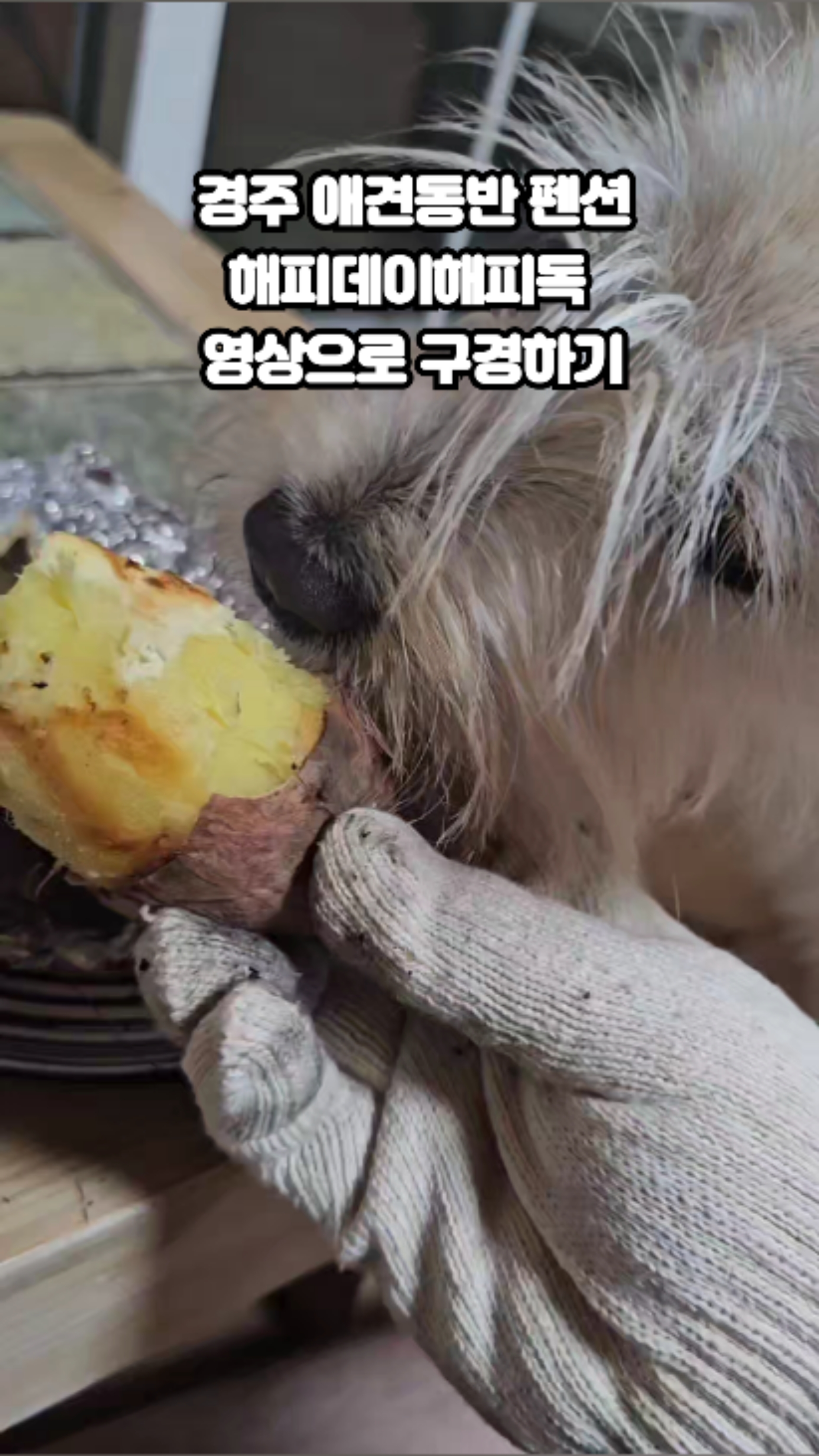 사진 6