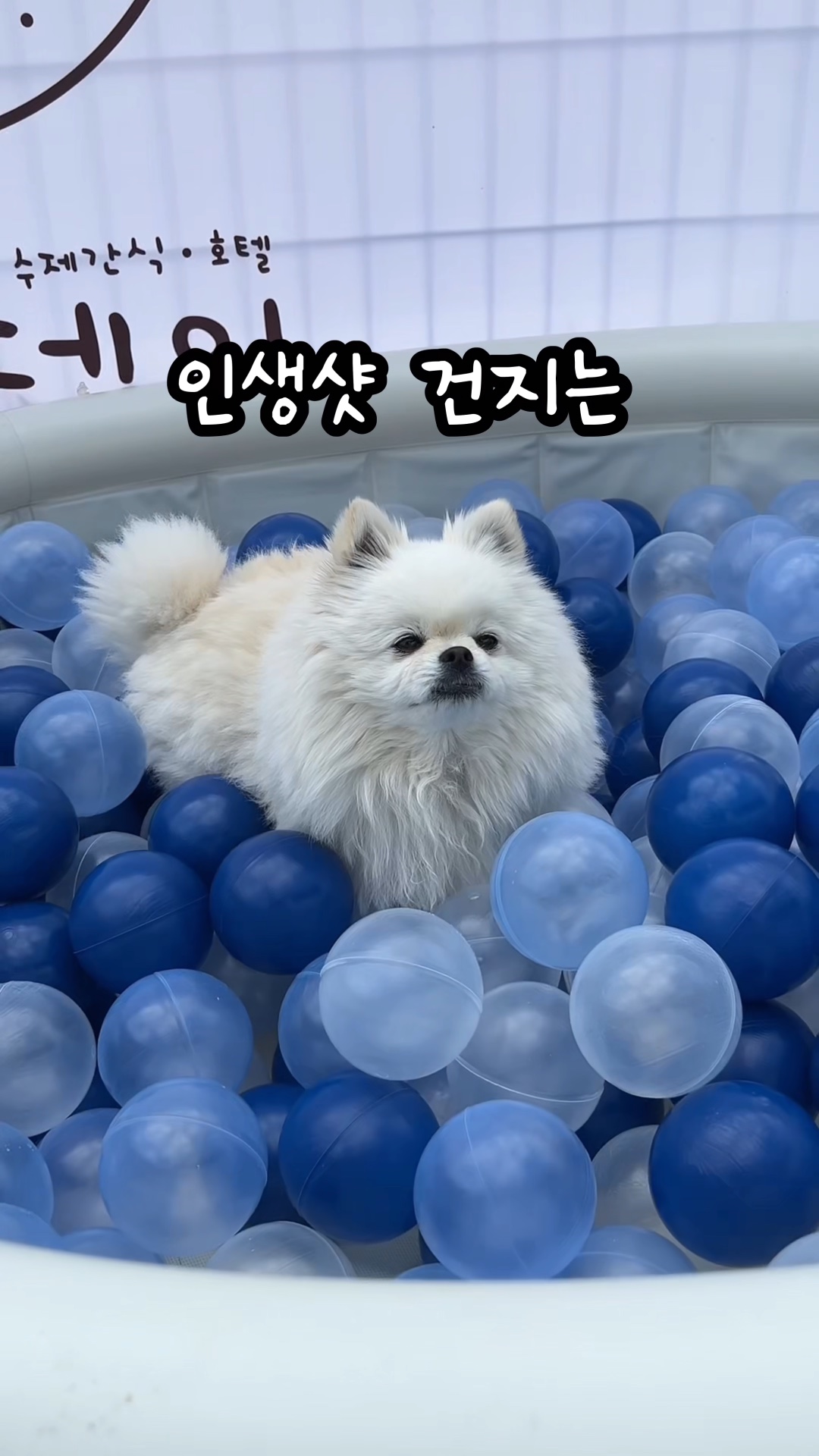 사진 3
