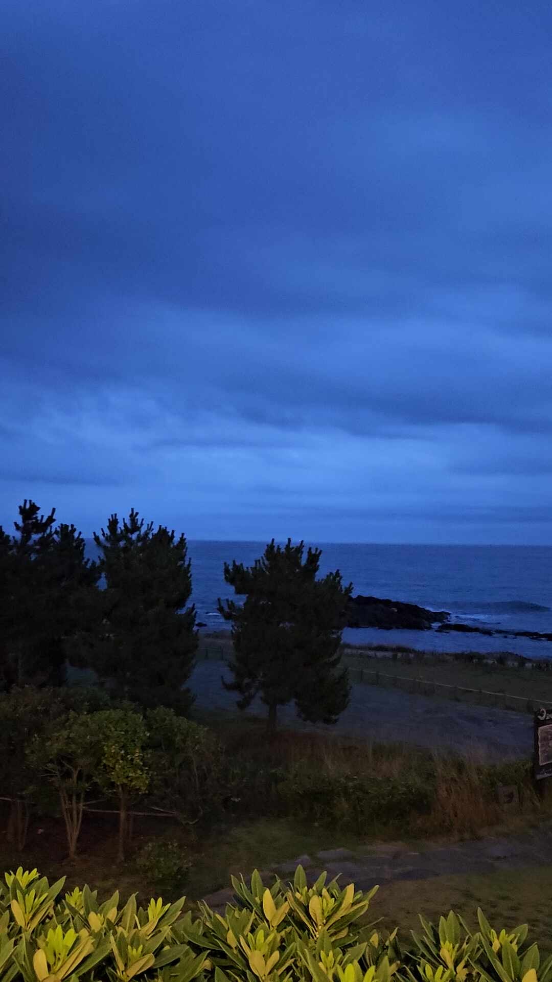 부산 아난티 앳 코브