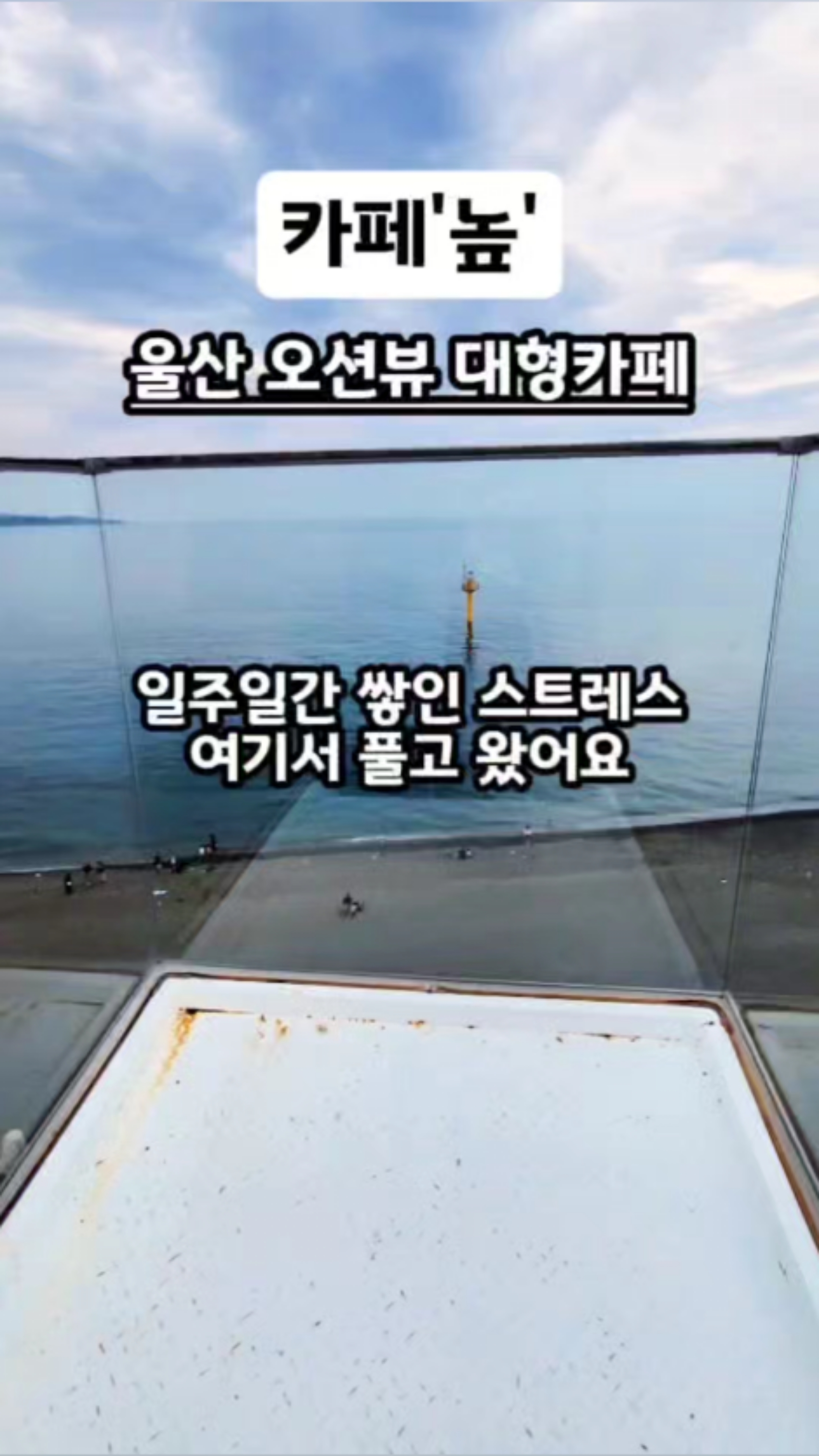 사진 8